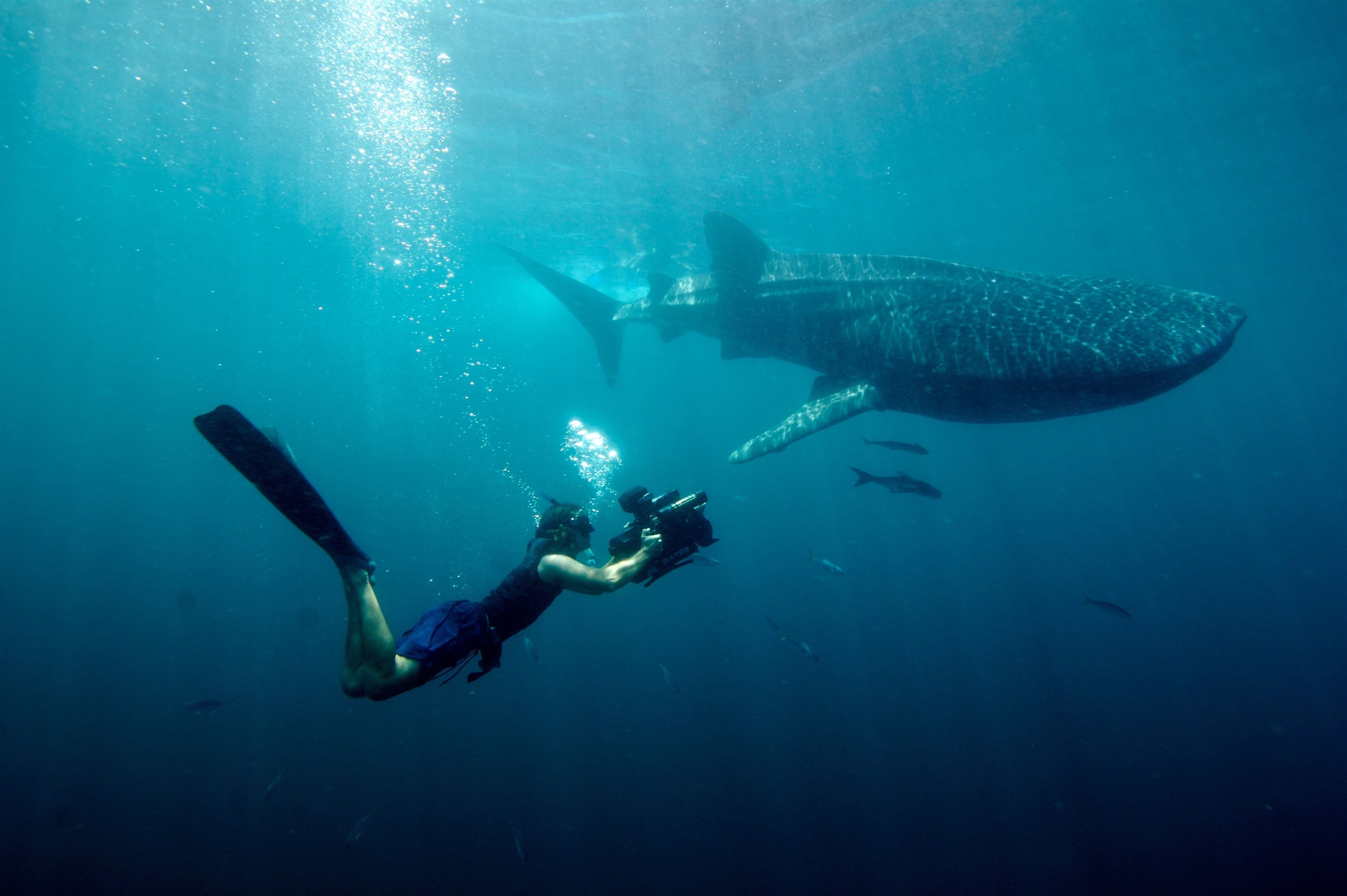 Hotel La Puerta del Sol