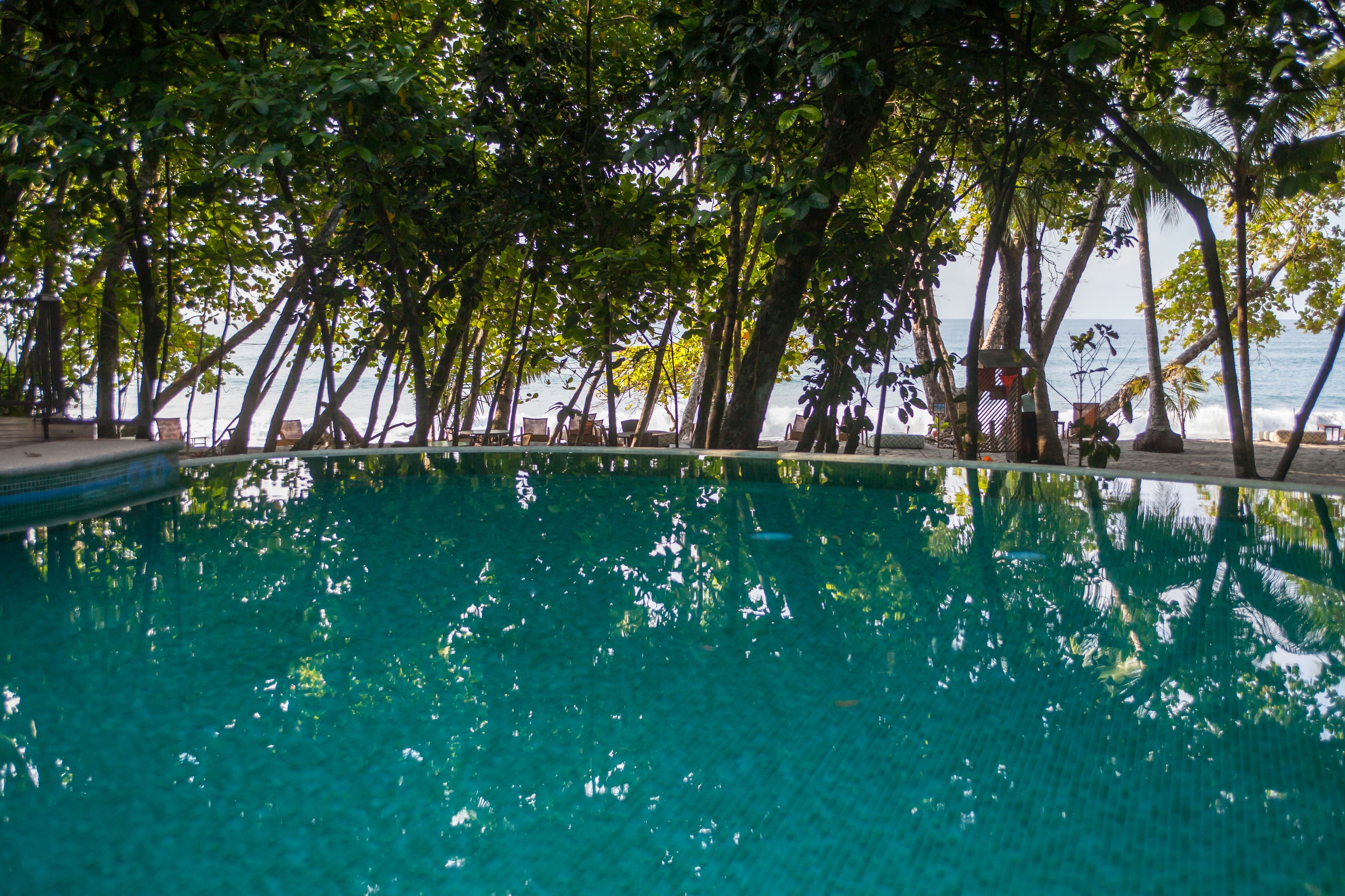 Arenas del Mar Beachfront & Rainforest Resort