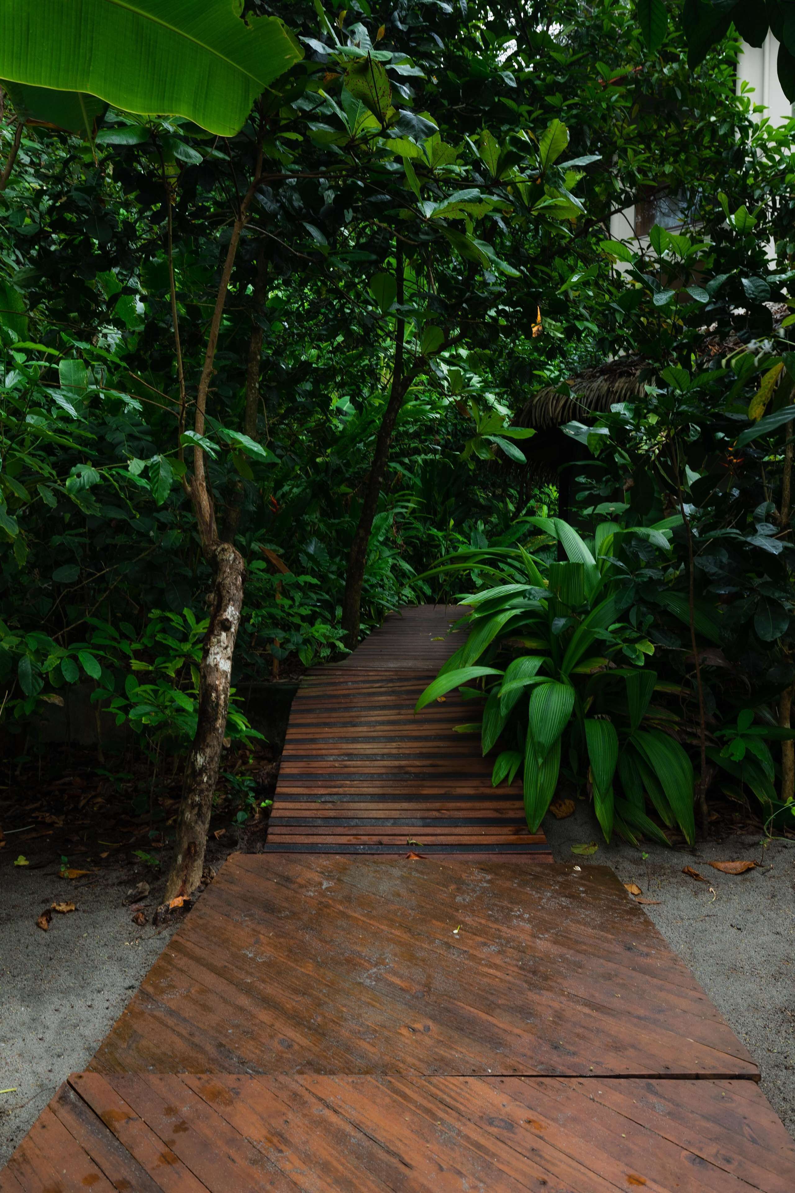 Arenas del Mar Beachfront & Rainforest Resort