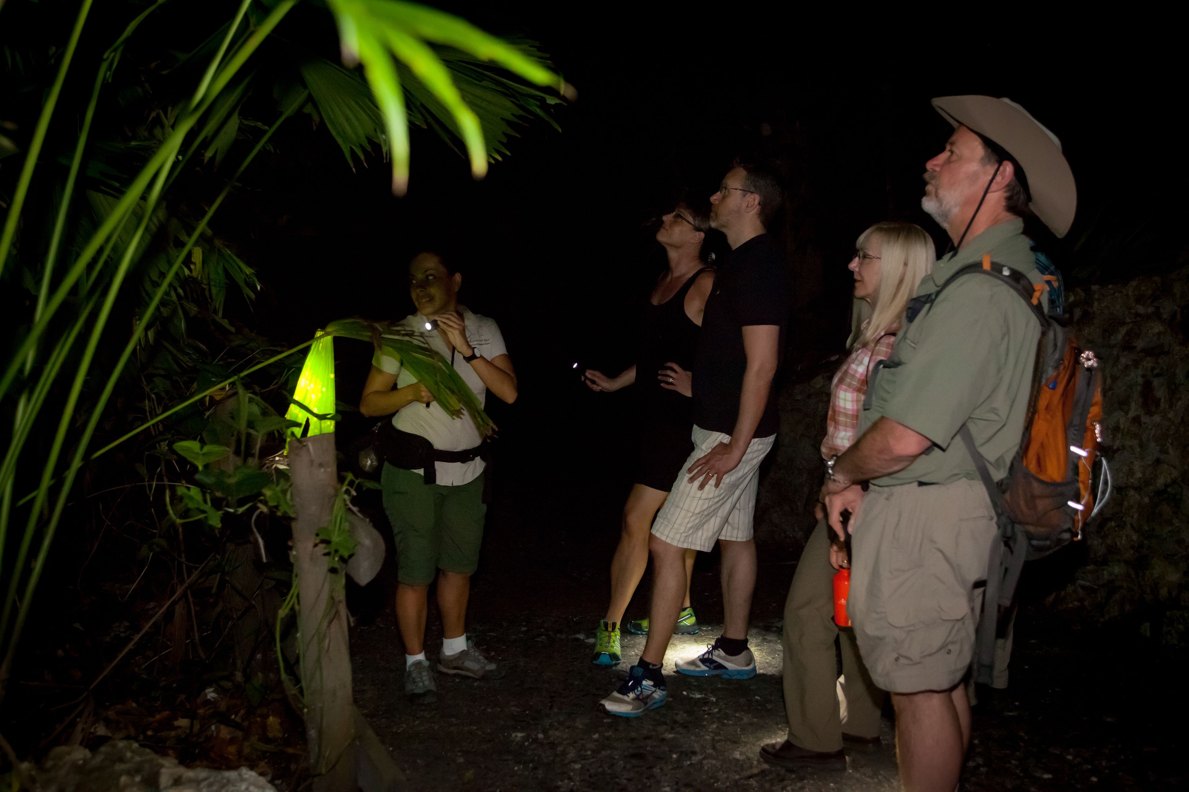 Arenas del Mar Beachfront & Rainforest Resort