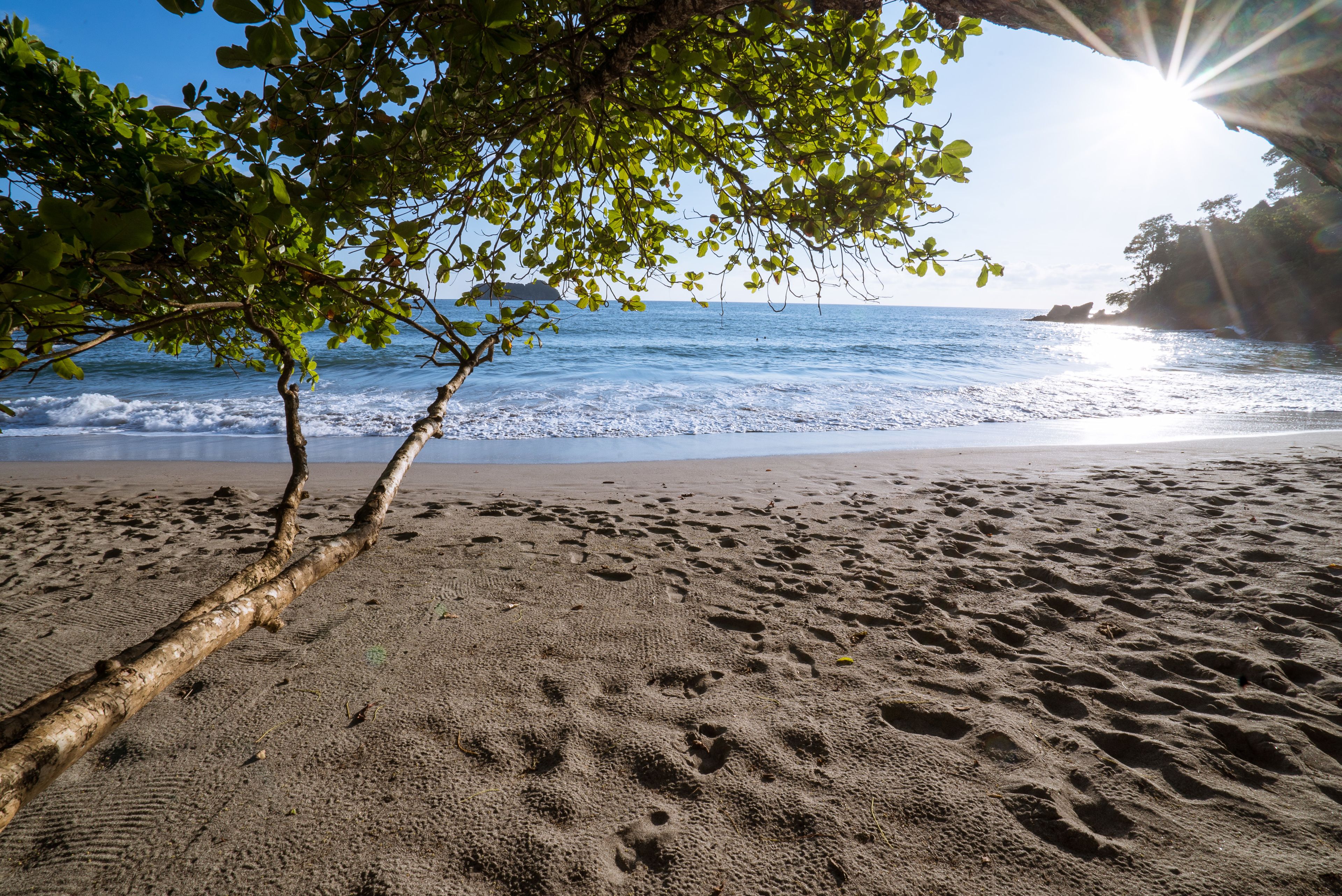 Arenas del Mar Beachfront & Rainforest Resort