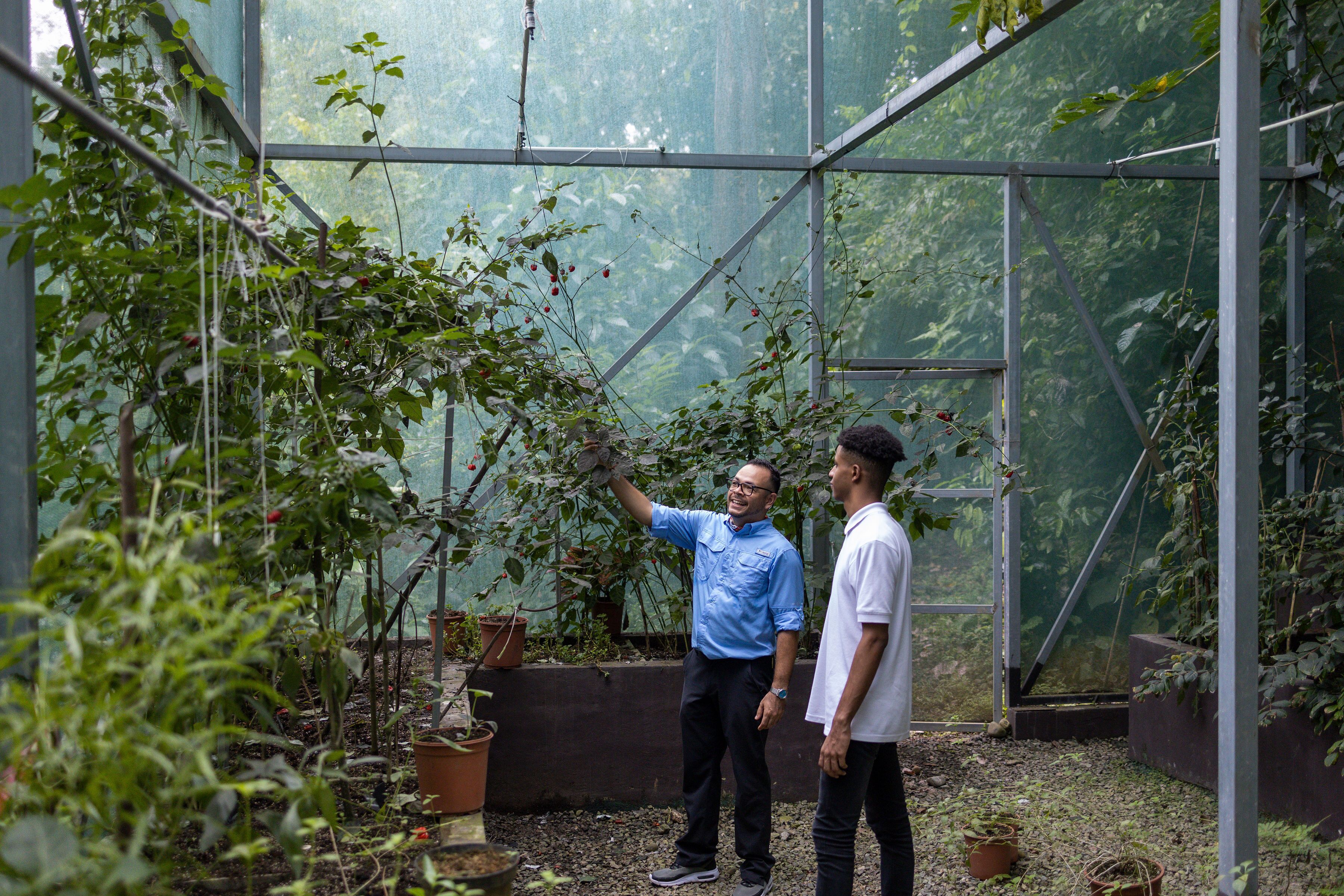 Arenas del Mar Beachfront & Rainforest Resort