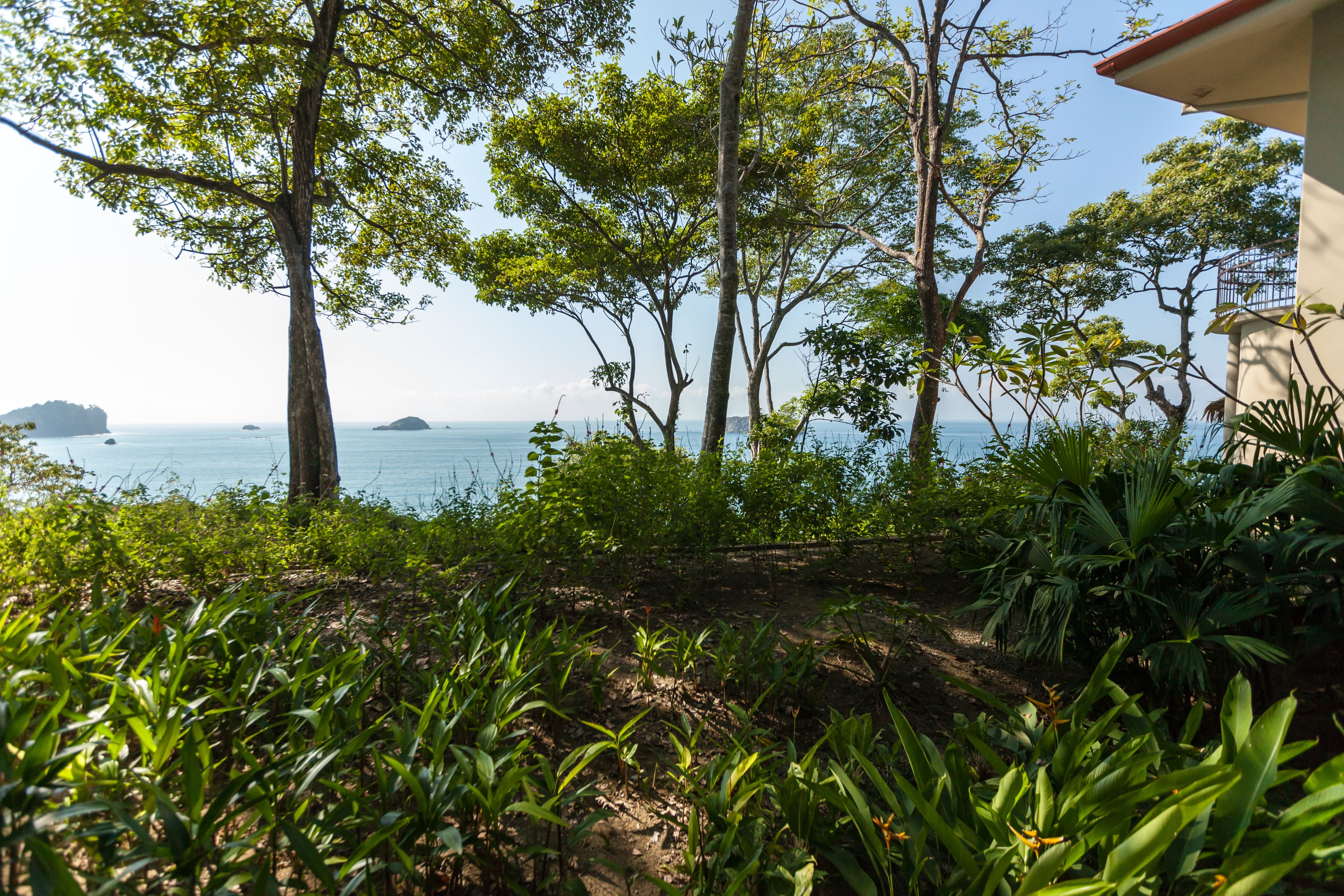 Arenas del Mar Beachfront & Rainforest Resort