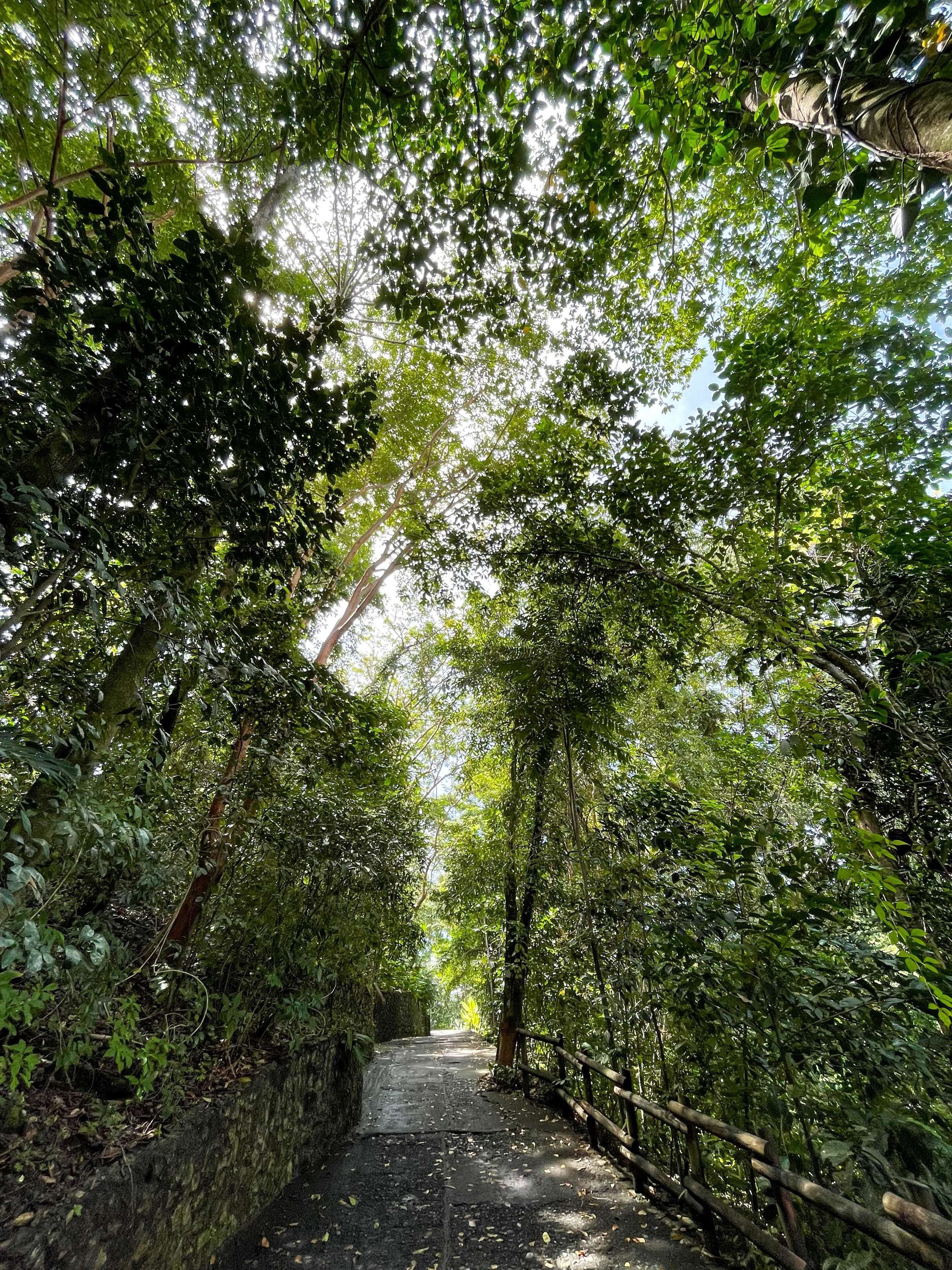 Arenas del Mar Beachfront & Rainforest Resort