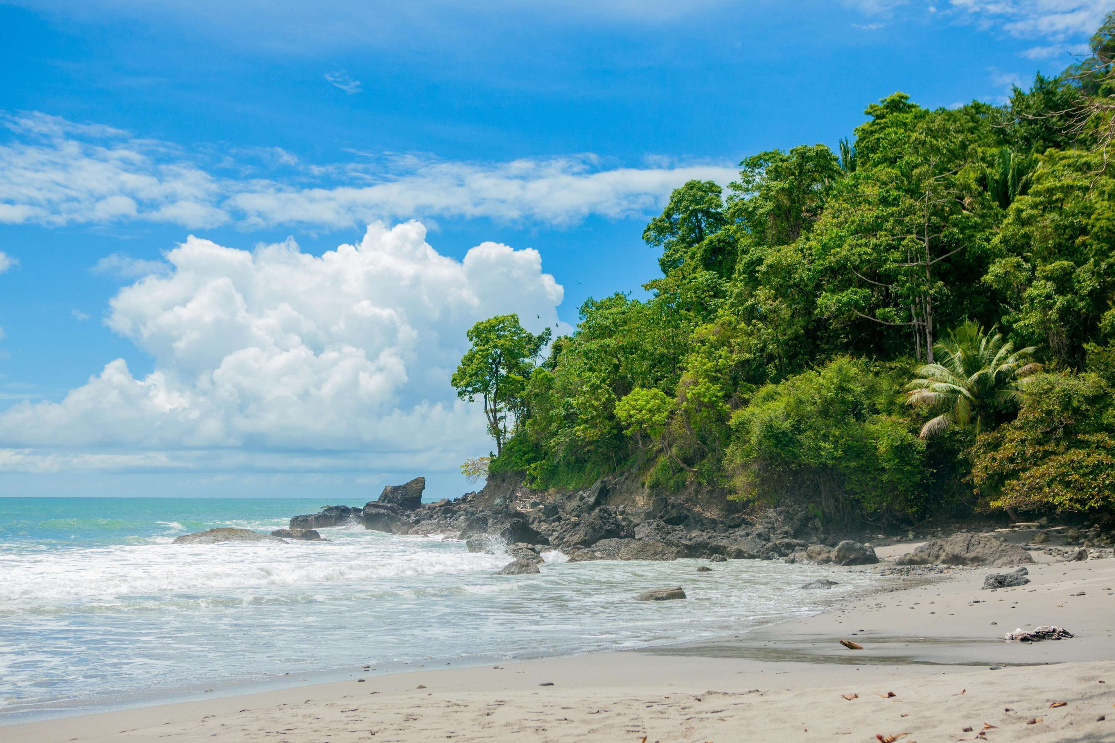 Arenas del Mar Beachfront & Rainforest Resort
