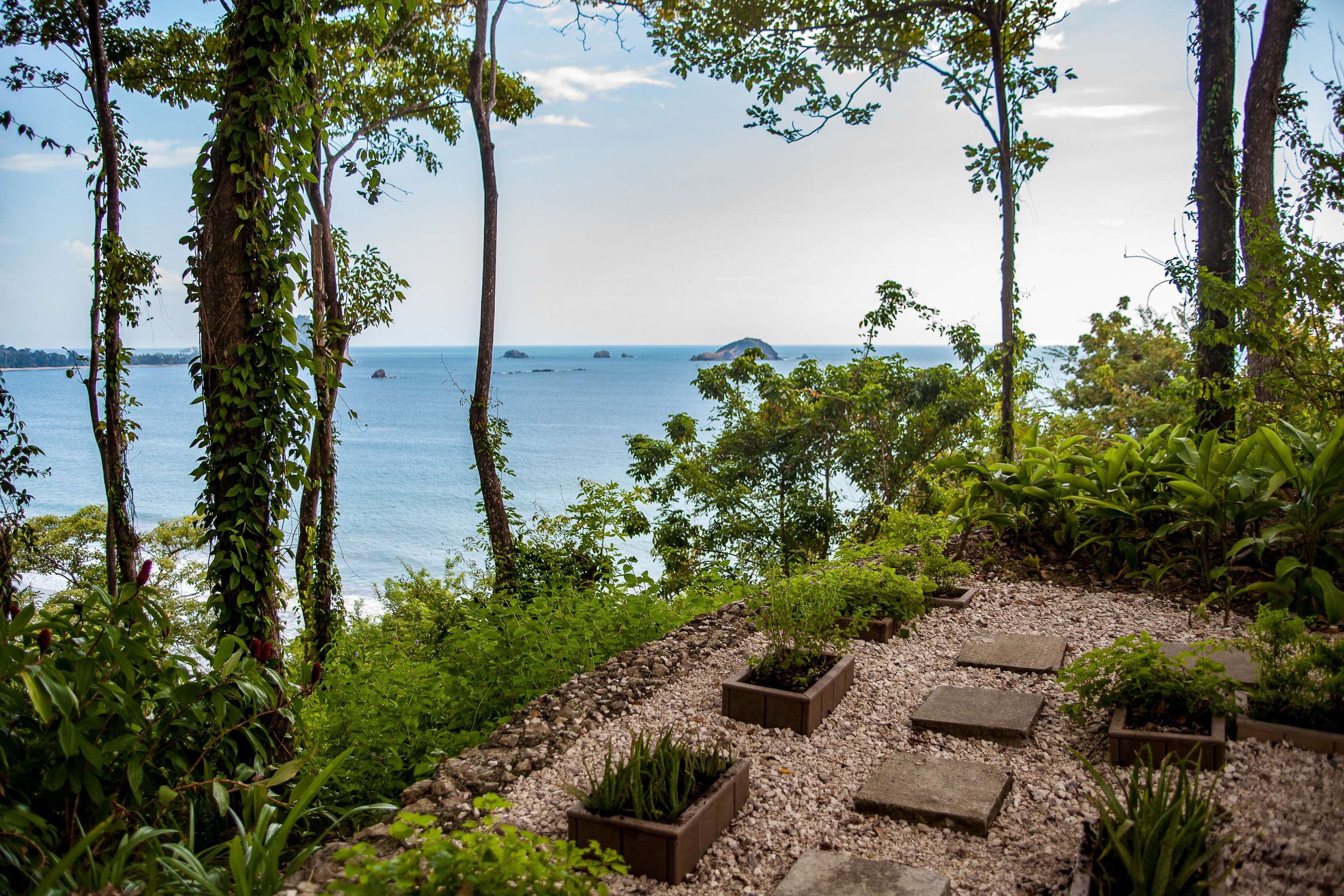 Arenas del Mar Beachfront & Rainforest Resort