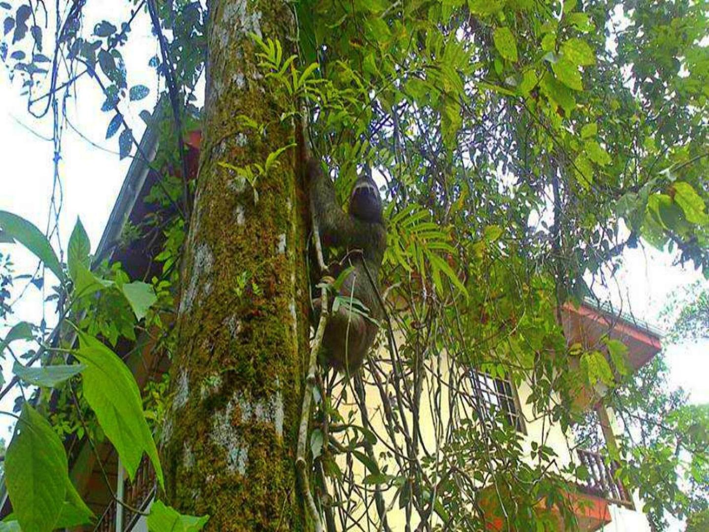 Hotel Las Tres Banderas