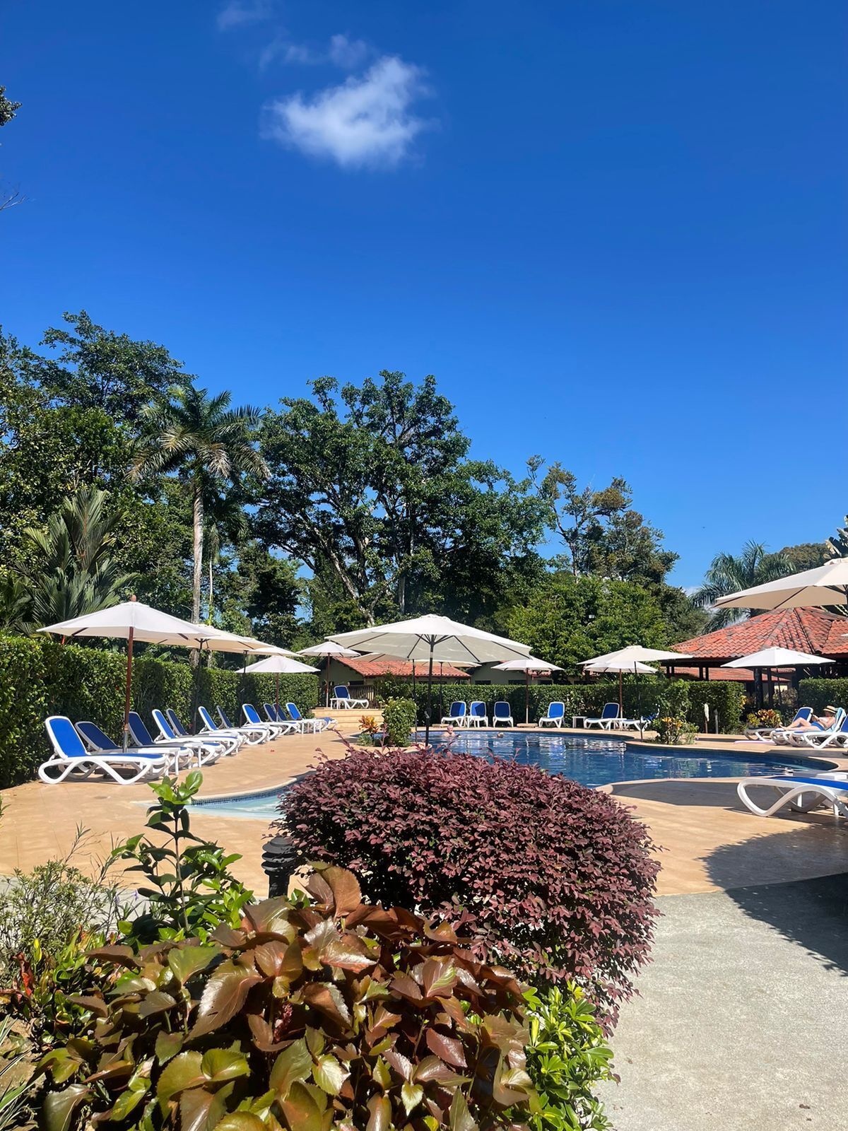 La Foresta Nature Resort