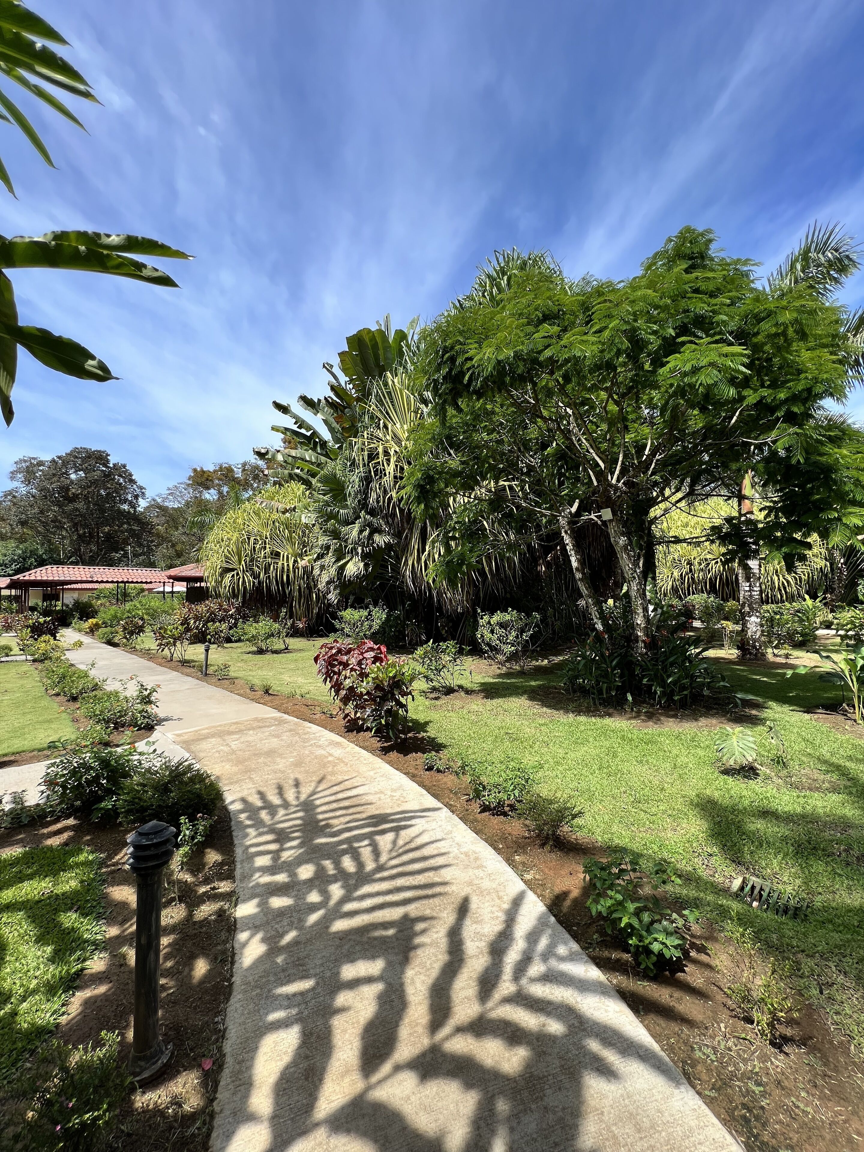 La Foresta Nature Resort