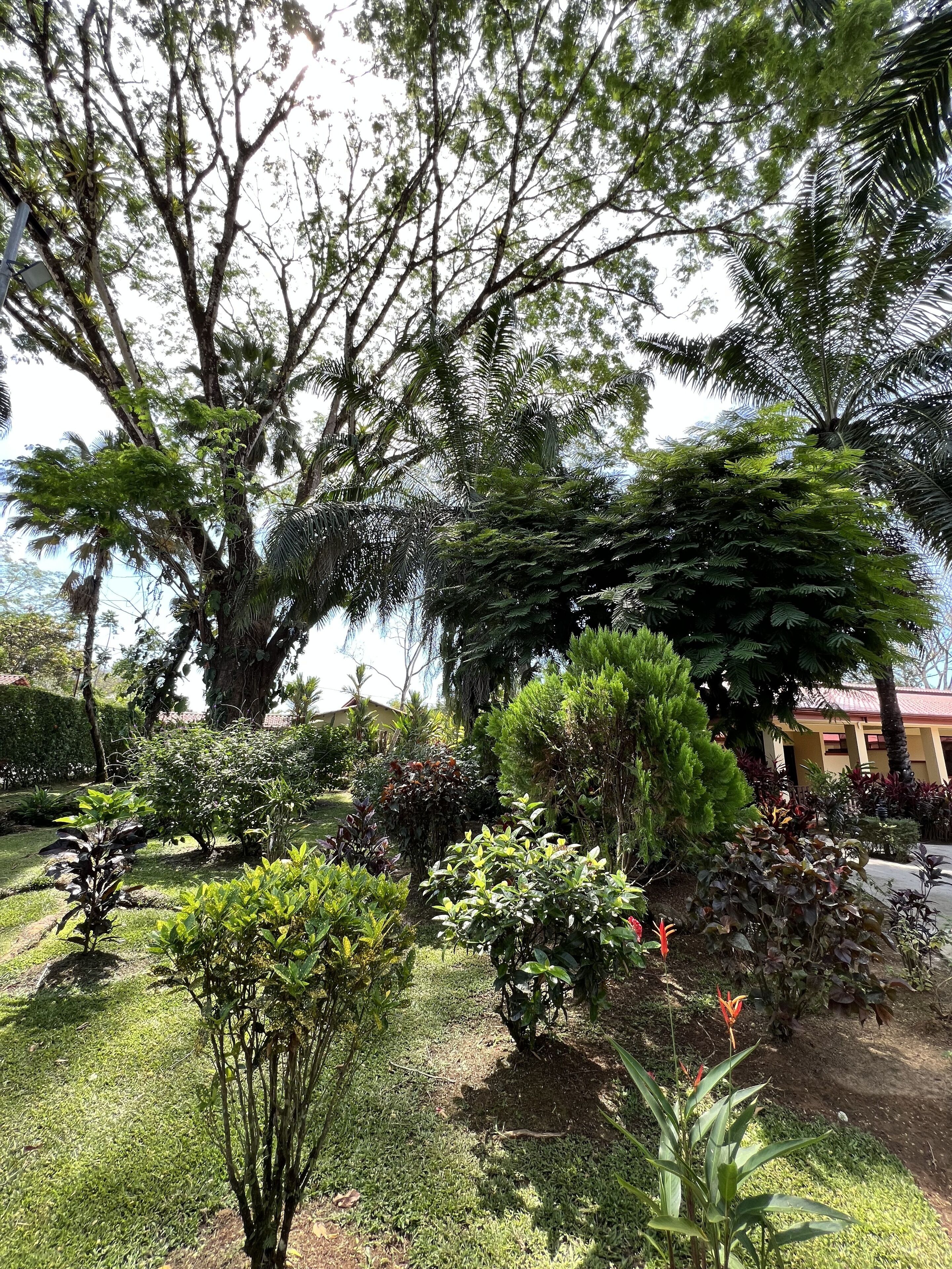 La Foresta Nature Resort