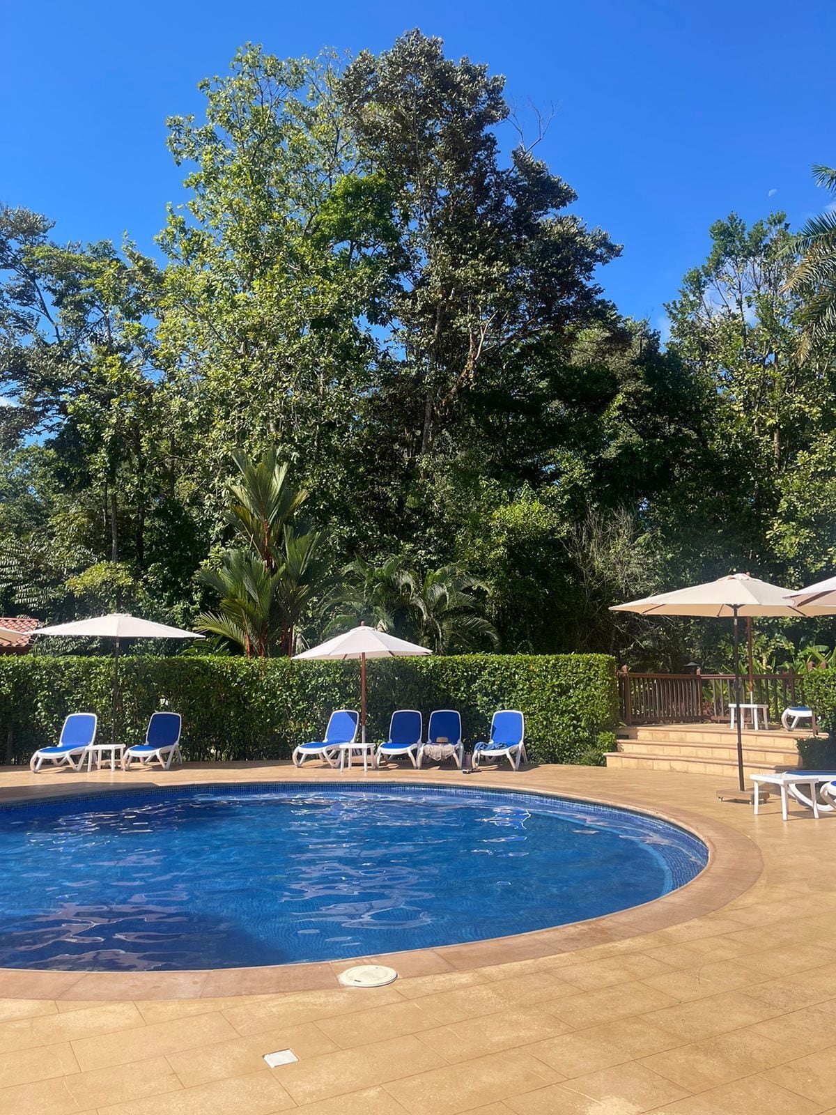 La Foresta Nature Resort