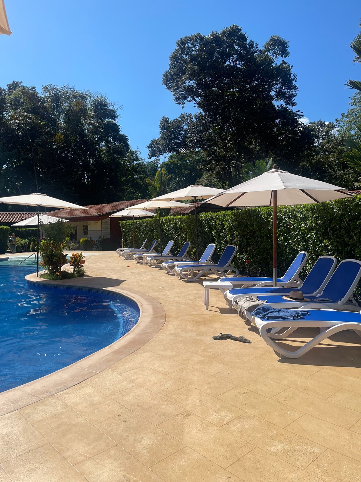 La Foresta Nature Resort