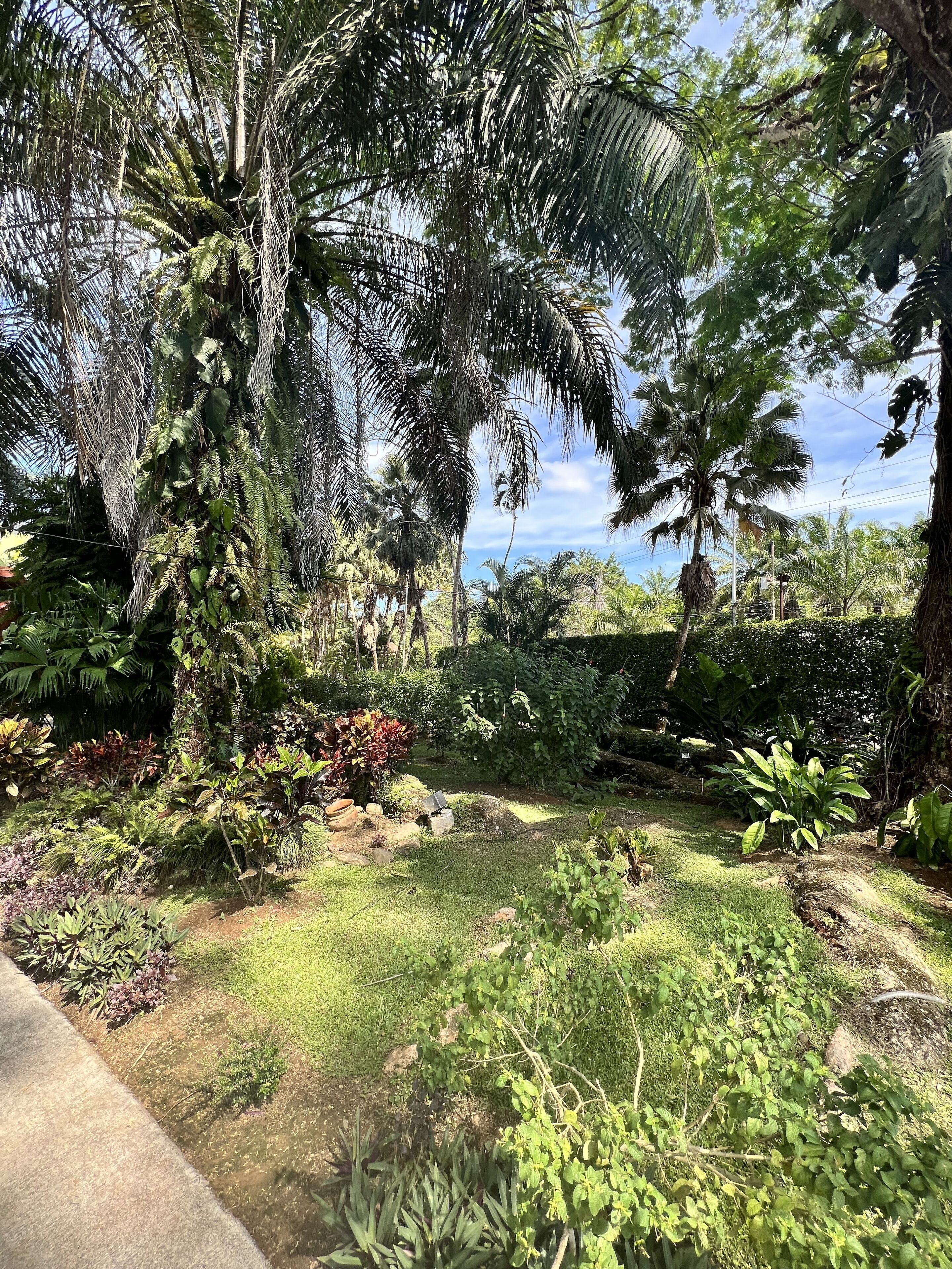 La Foresta Nature Resort