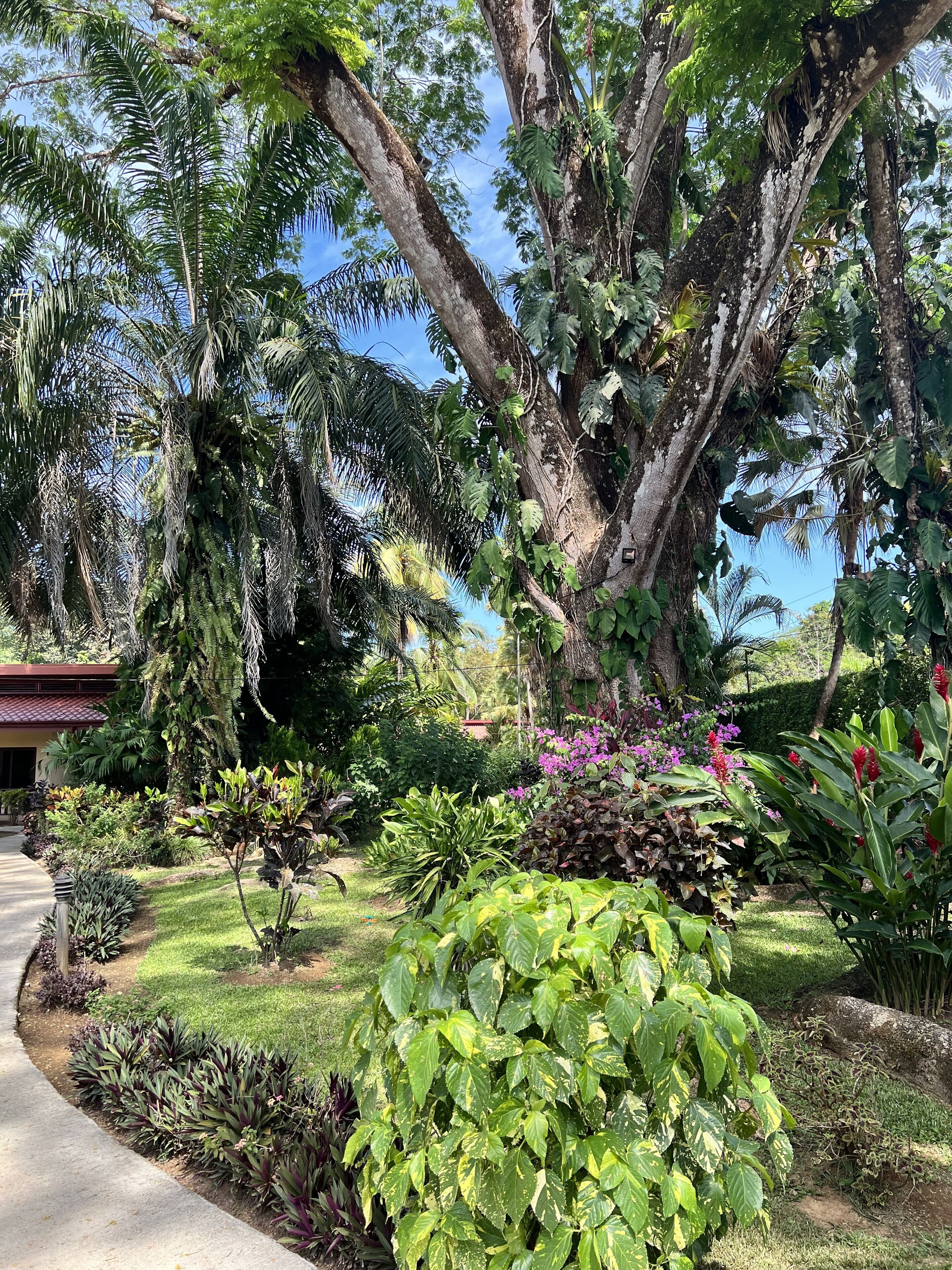 La Foresta Nature Resort