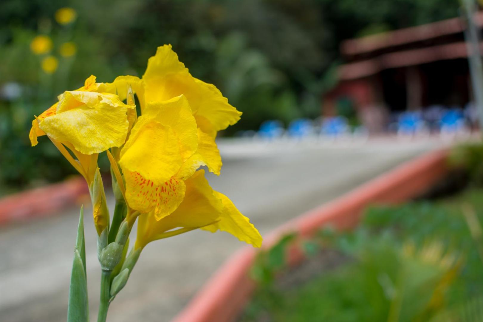 Pacific Paradise Resort