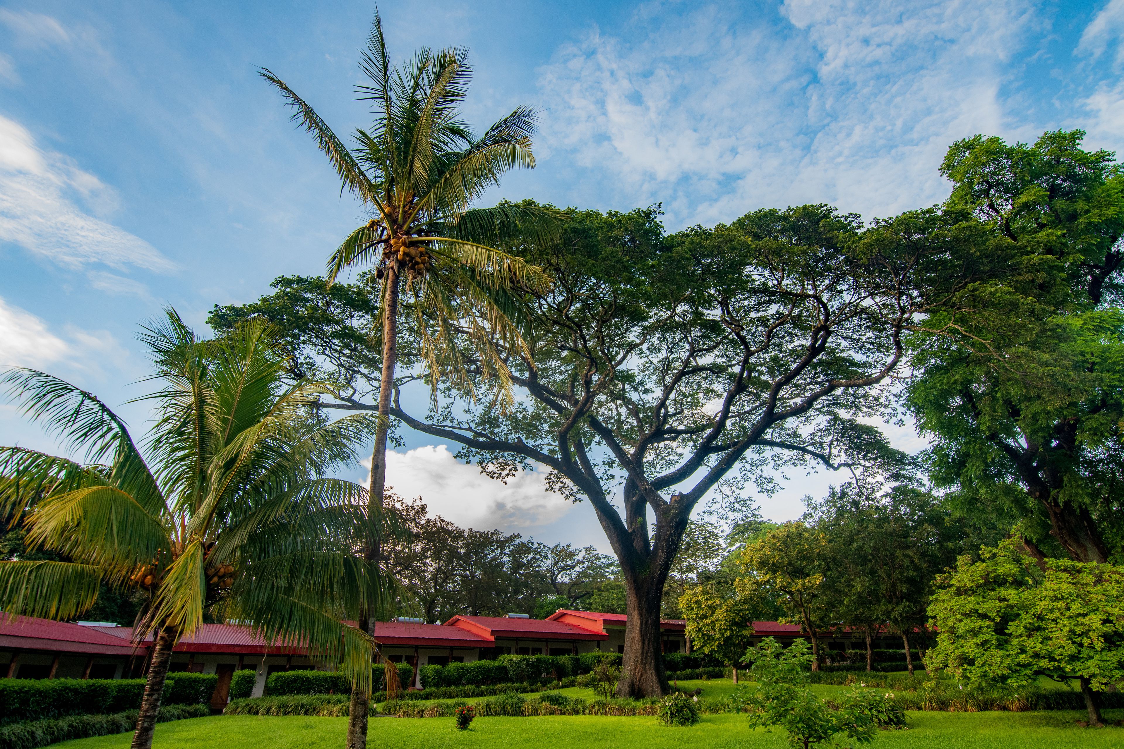 Hotel Hacienda Guachipelín