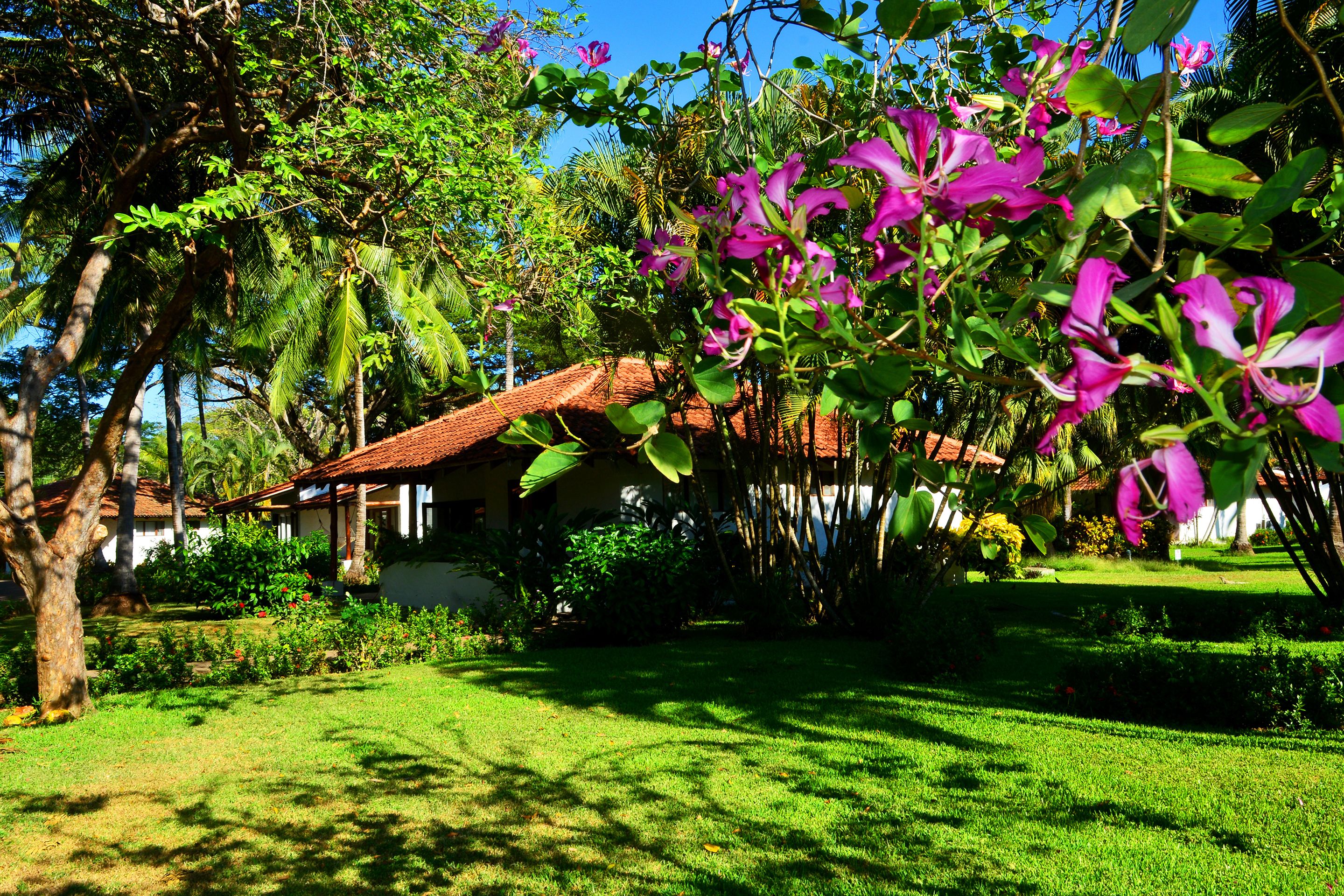 Hotel Villas Playa Samara Beachfront  Resort