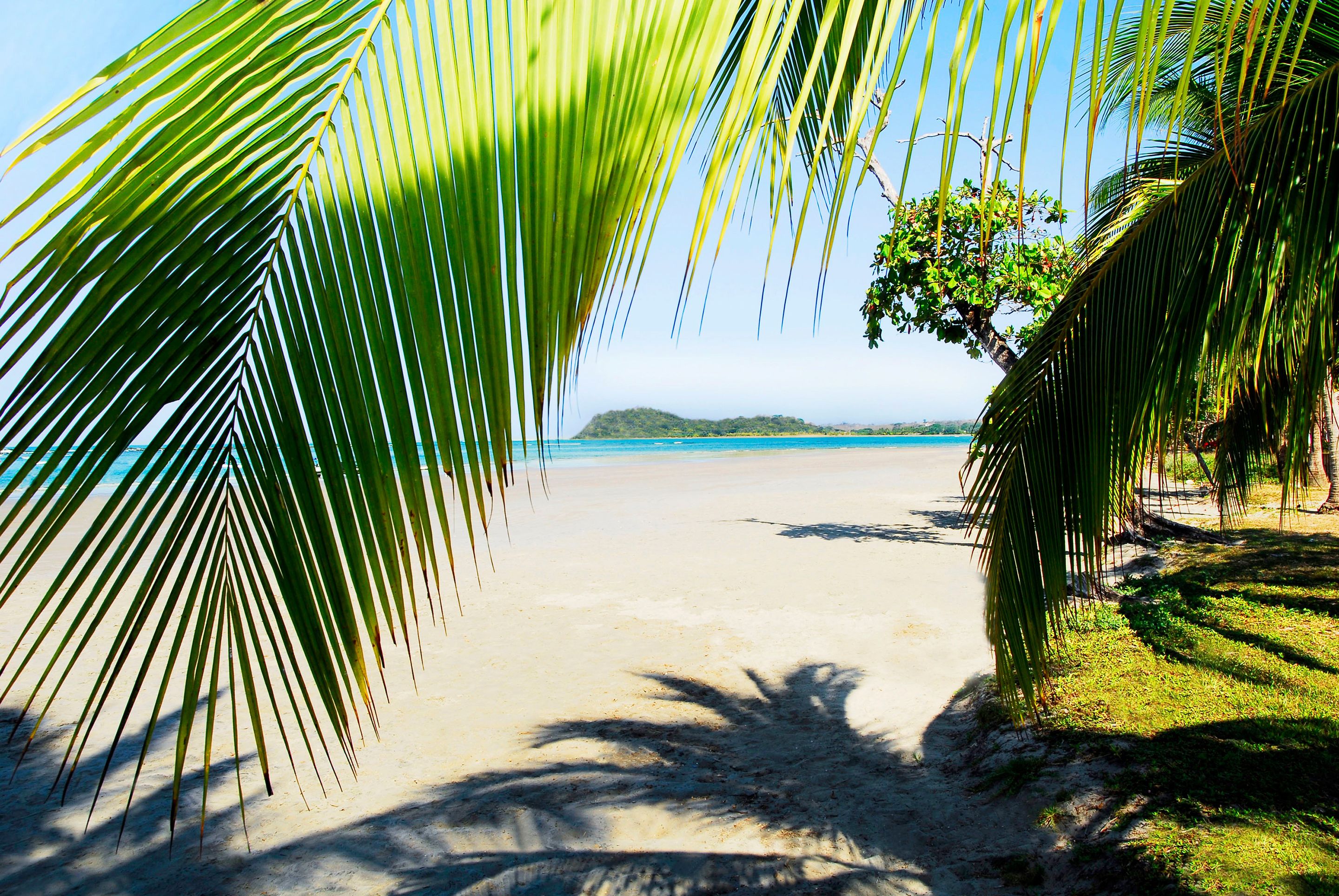 Hotel Villas Playa Samara Beachfront  Resort