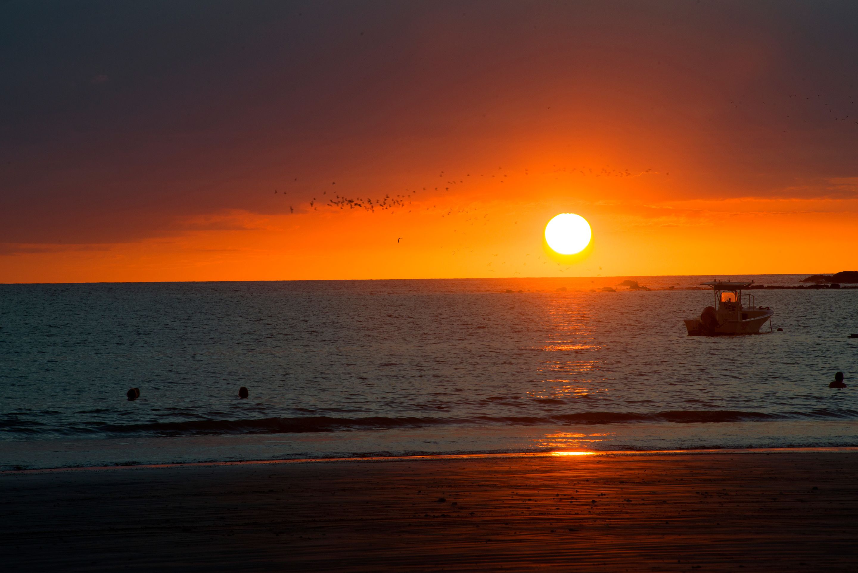 Hotel Villas Playa Samara Beachfront  Resort
