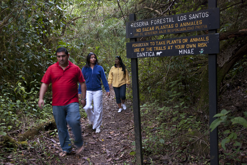 Dantica Cloud Forest Lodge