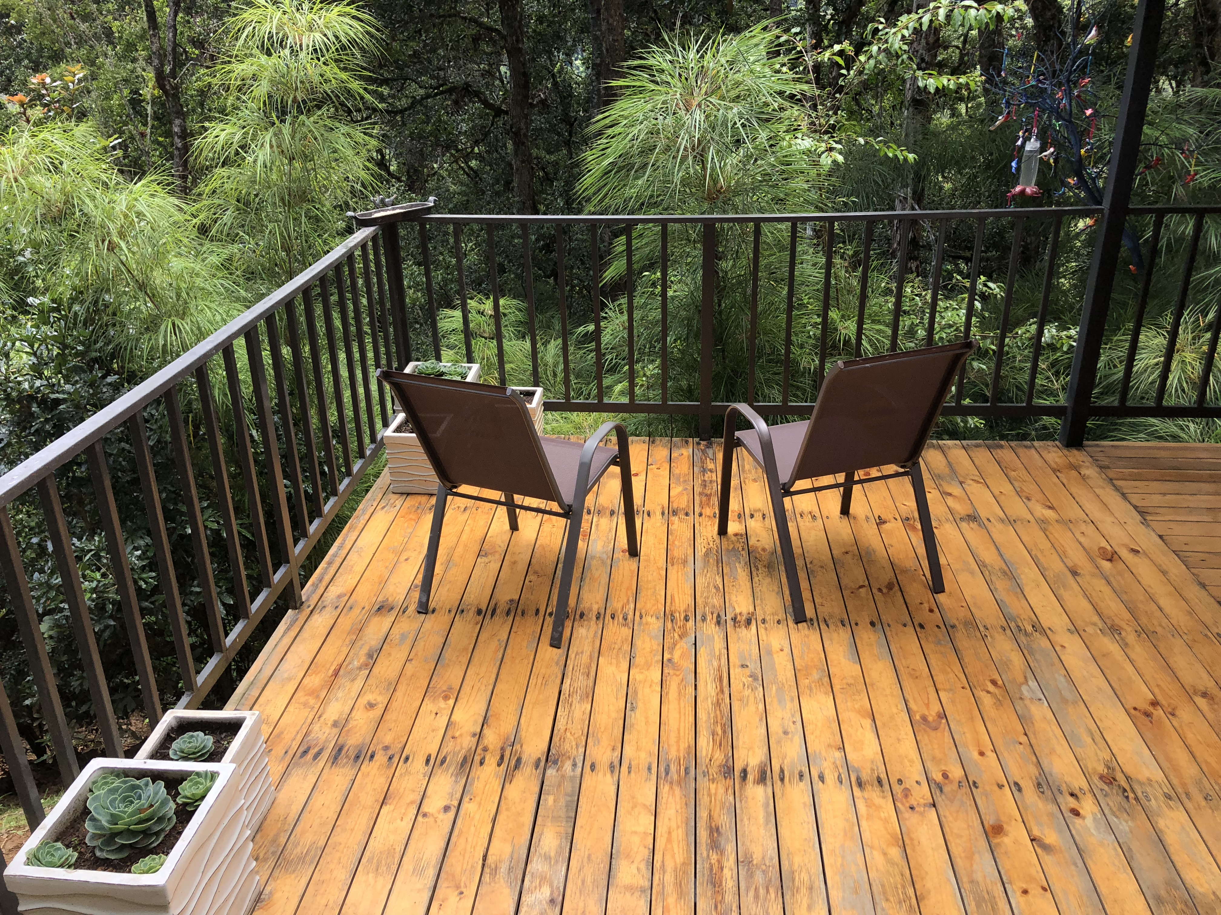 Dantica Cloud Forest Lodge