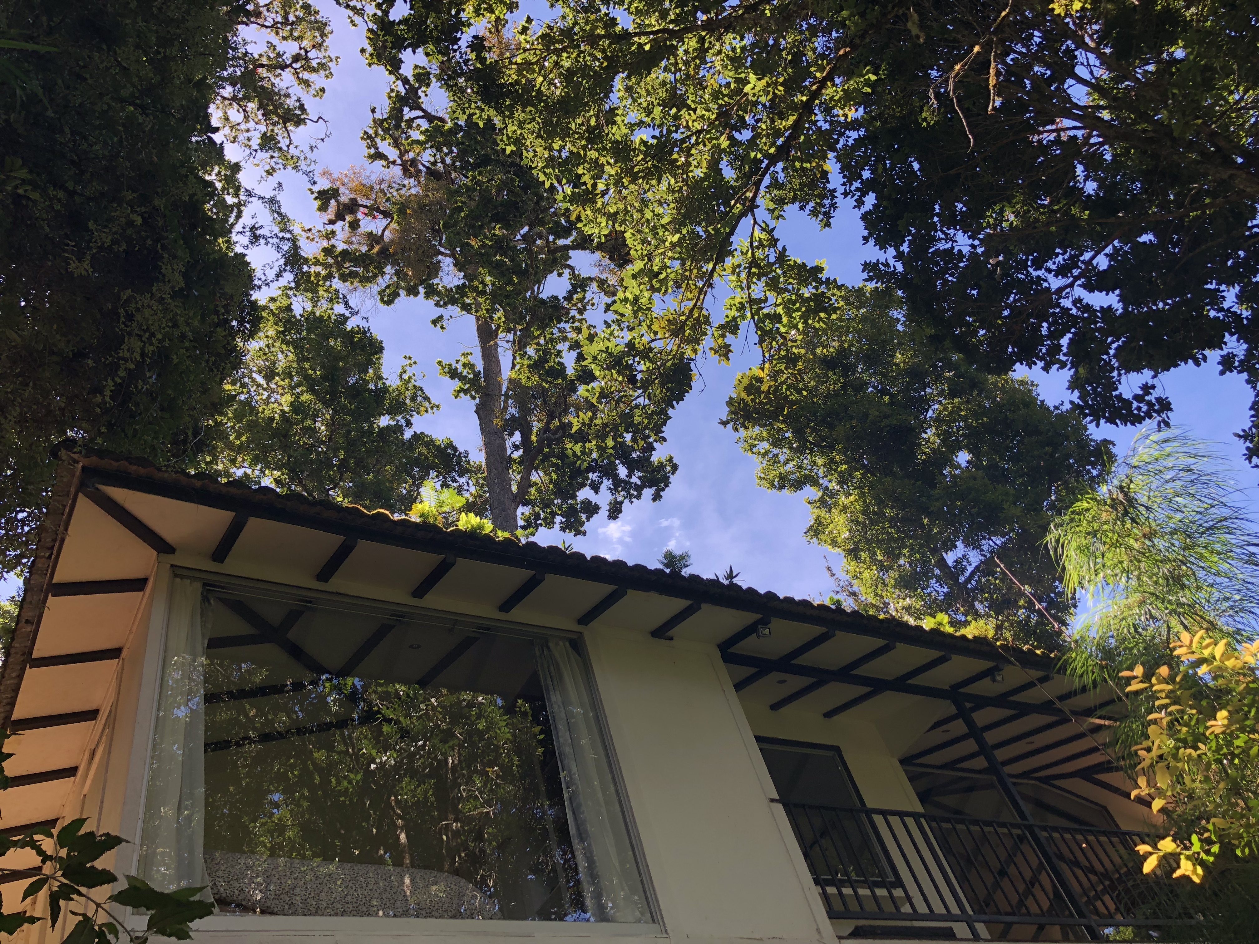 Dantica Cloud Forest Lodge