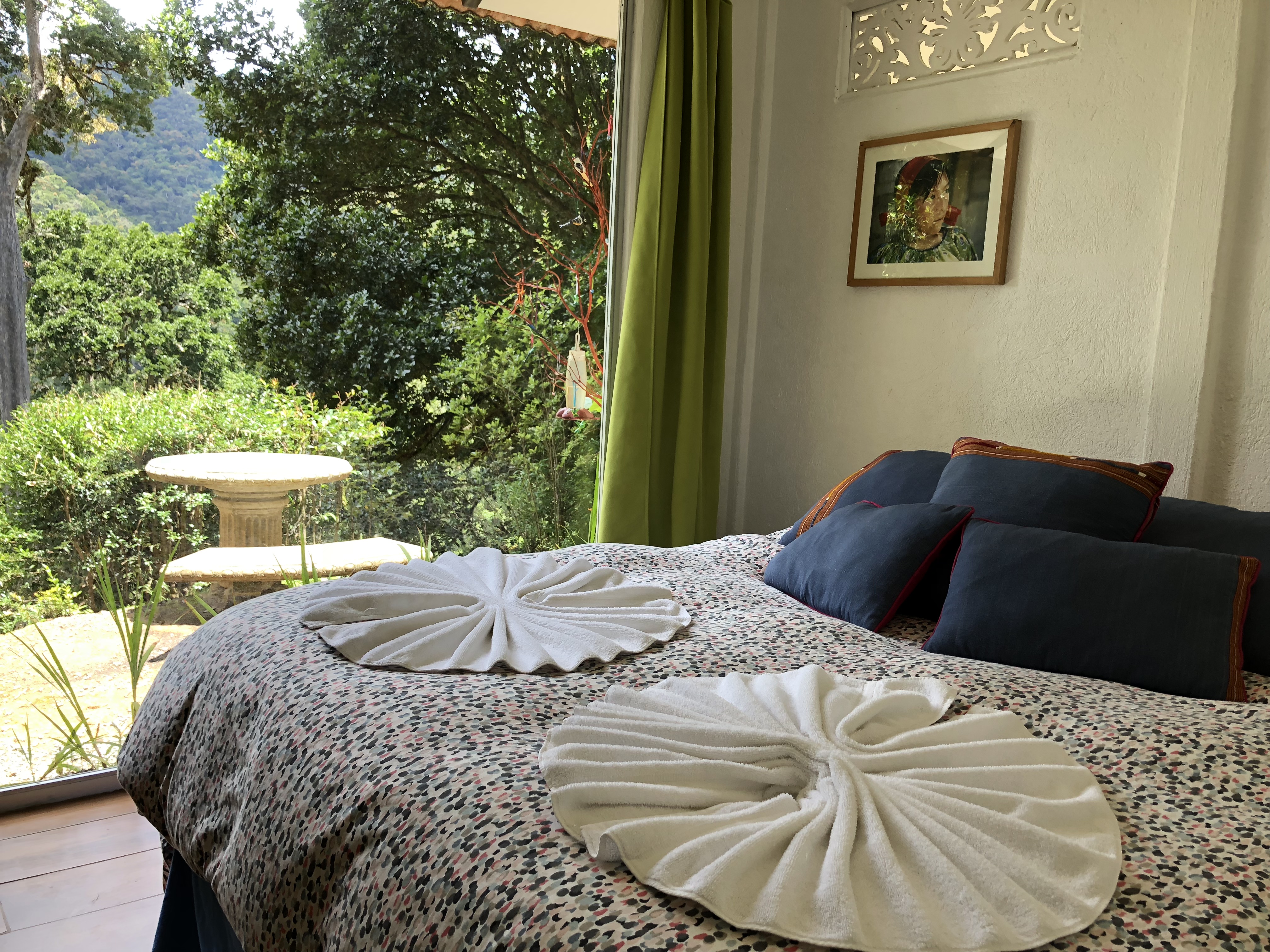 Dantica Cloud Forest Lodge
