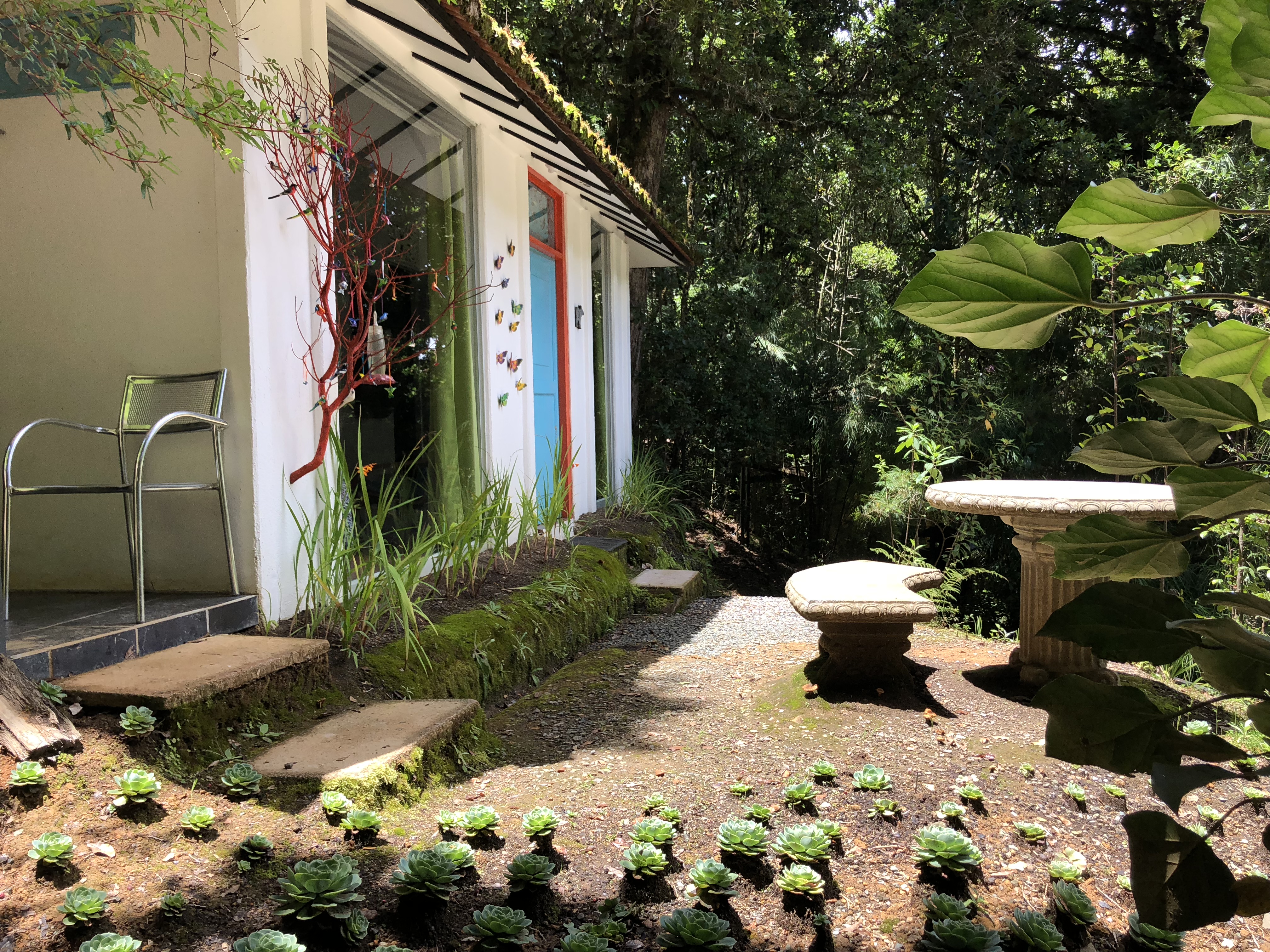 Dantica Cloud Forest Lodge
