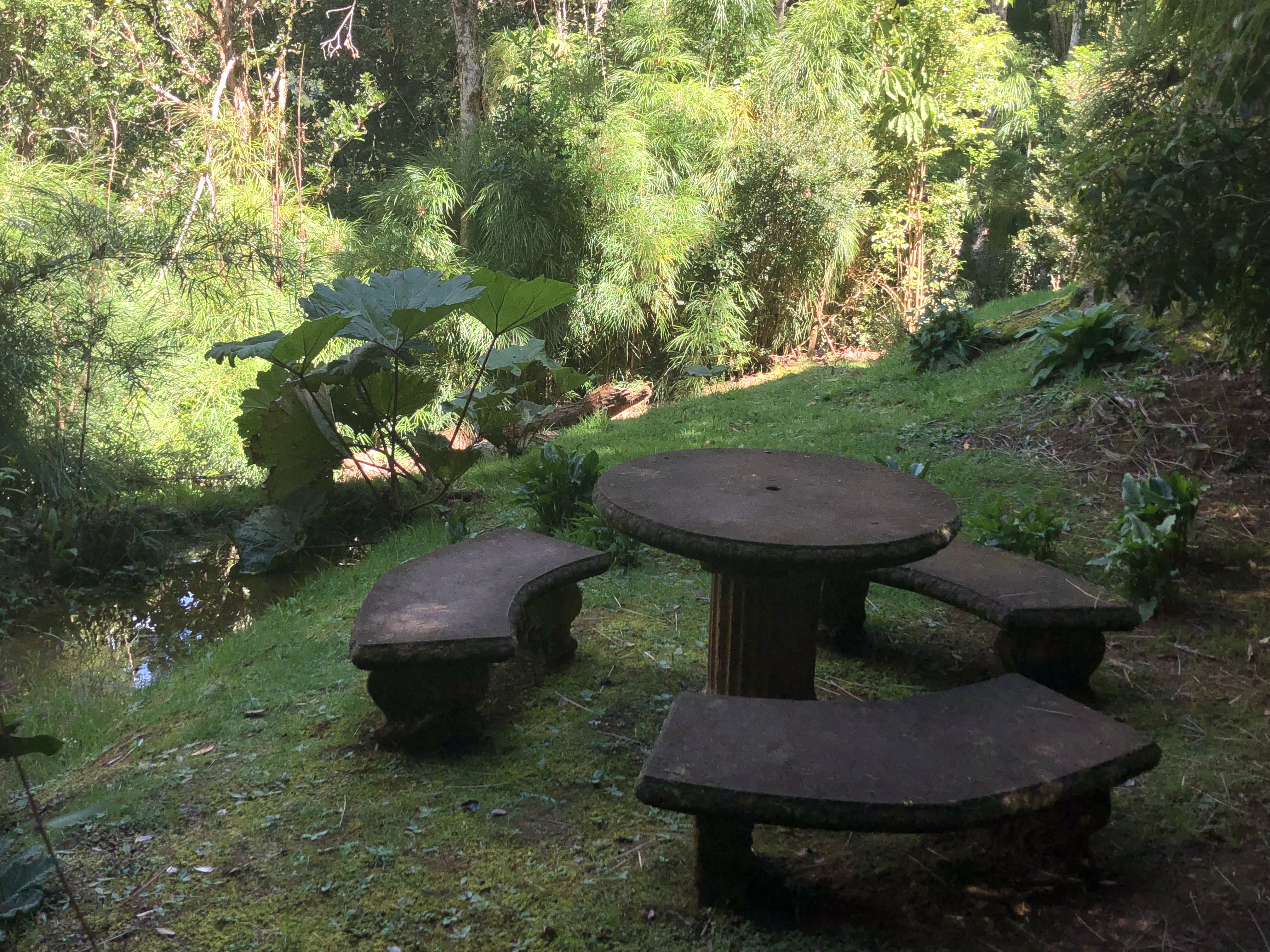 Dantica Cloud Forest Lodge