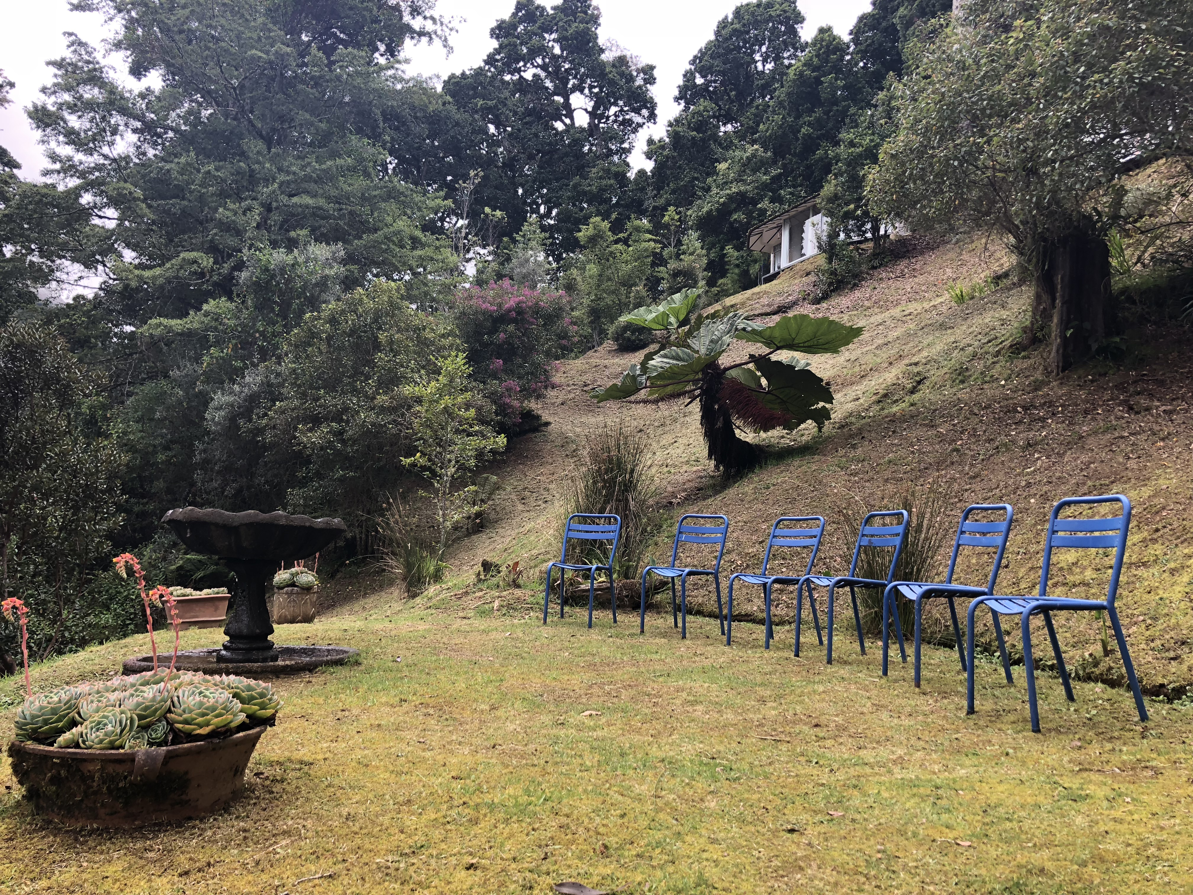 Dantica Cloud Forest Lodge