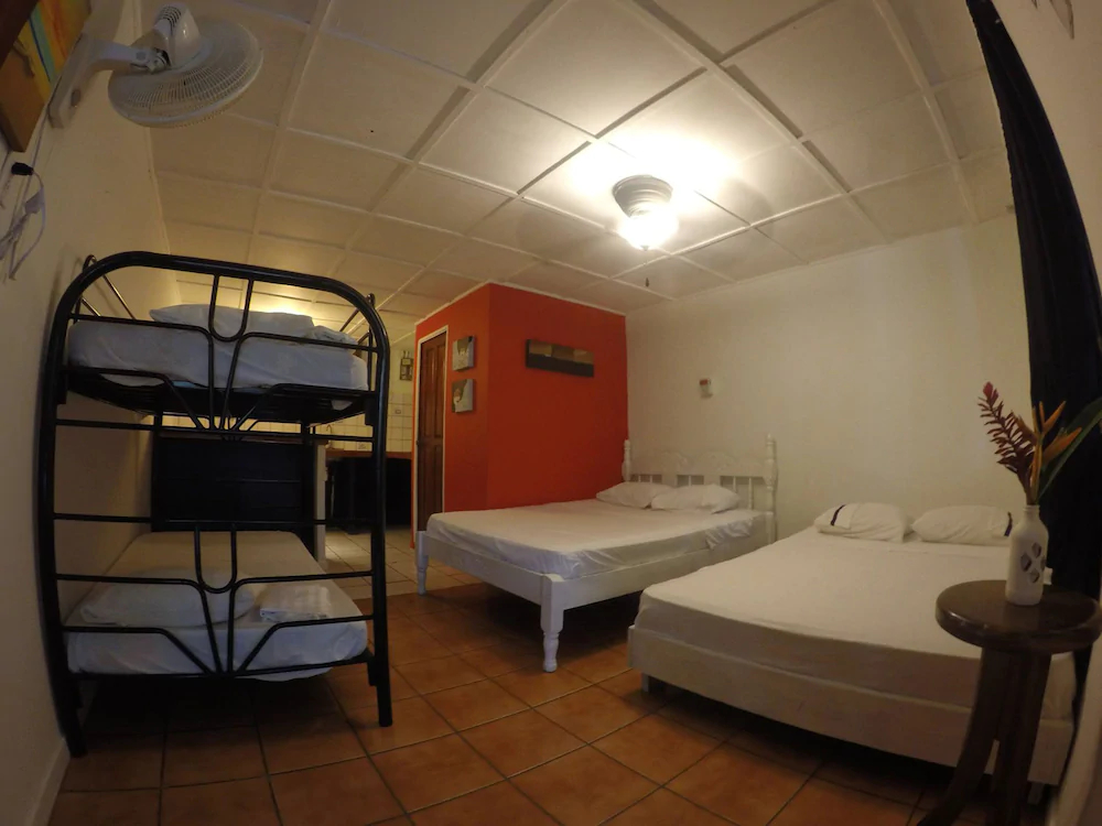 Beds On Bohio
