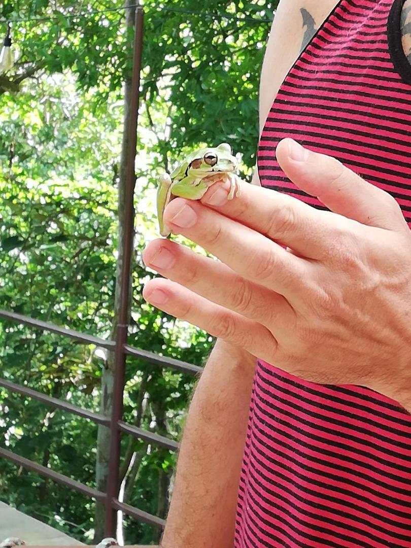 Green Sanctuary Hotel