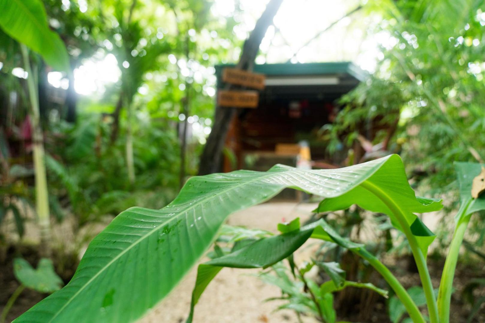 Green Sanctuary Hotel