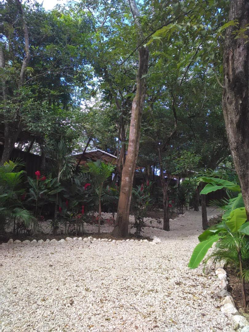 Green Sanctuary Hotel