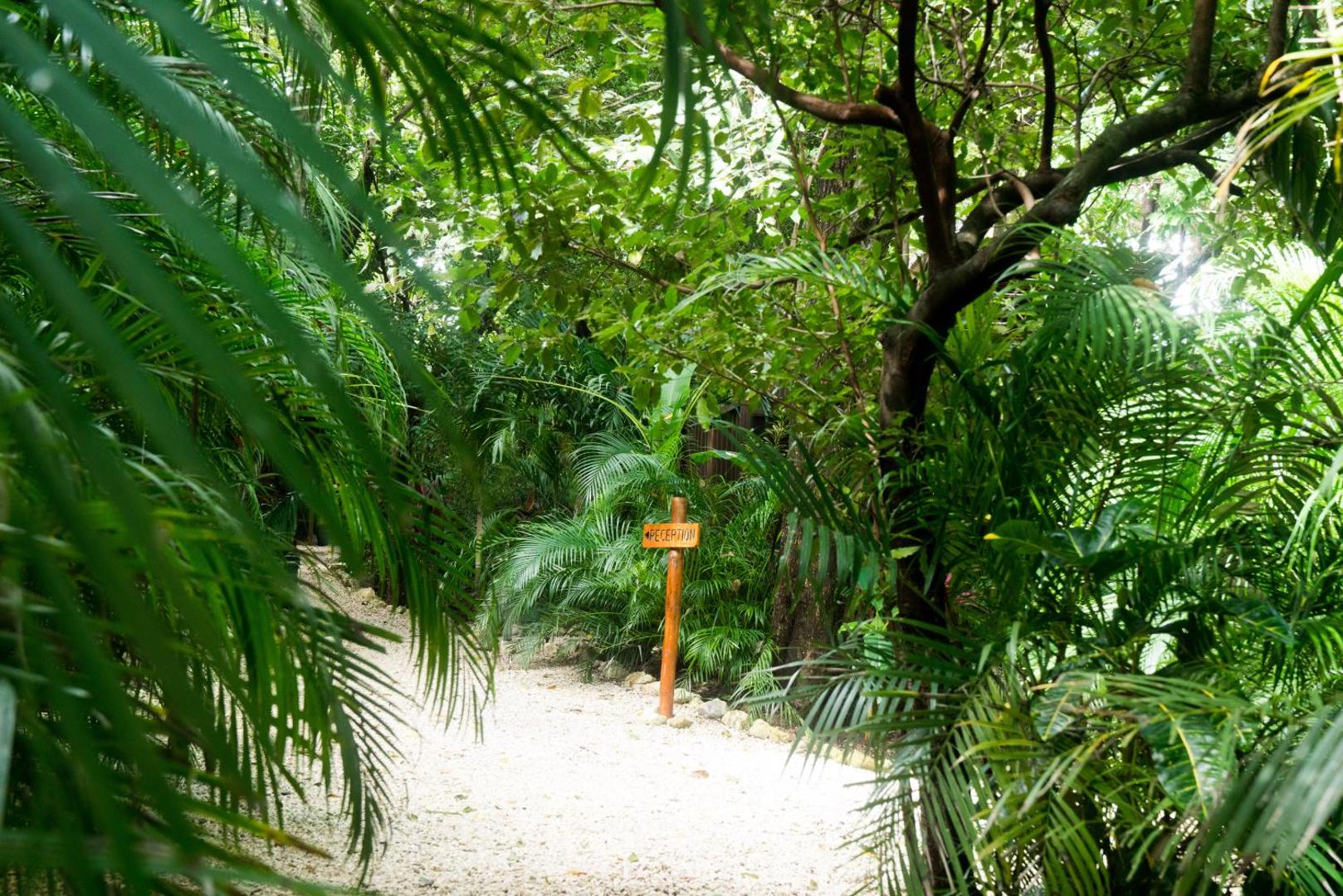 Green Sanctuary Hotel