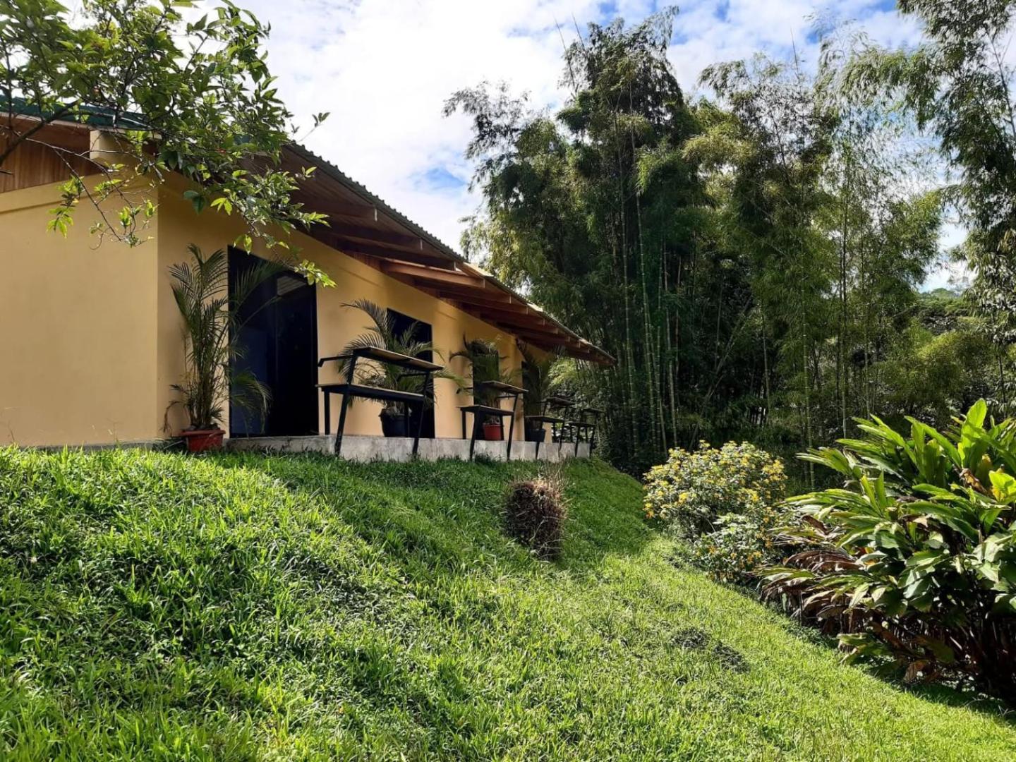 Essence Arenal Hostel