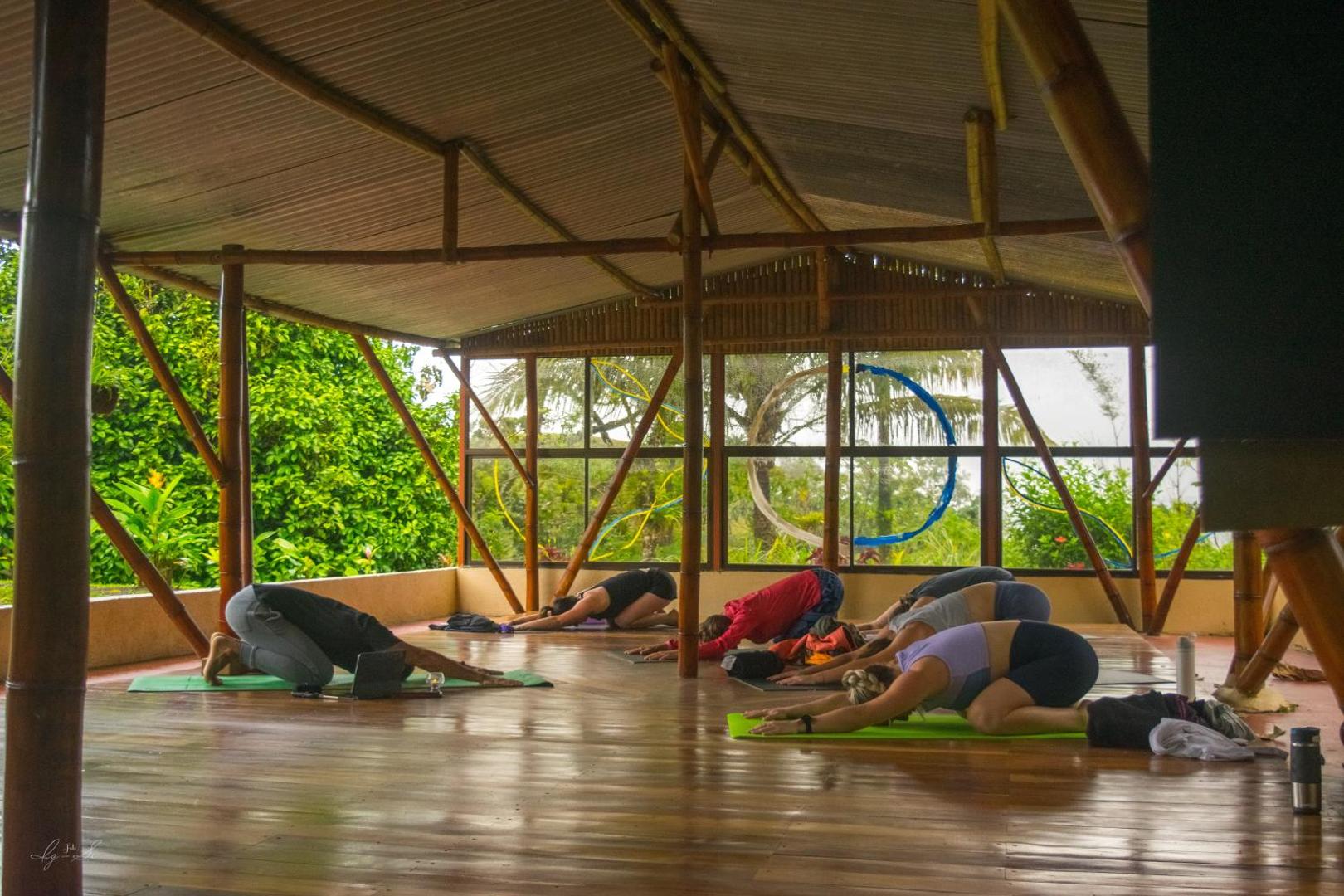 Essence Arenal Hostel