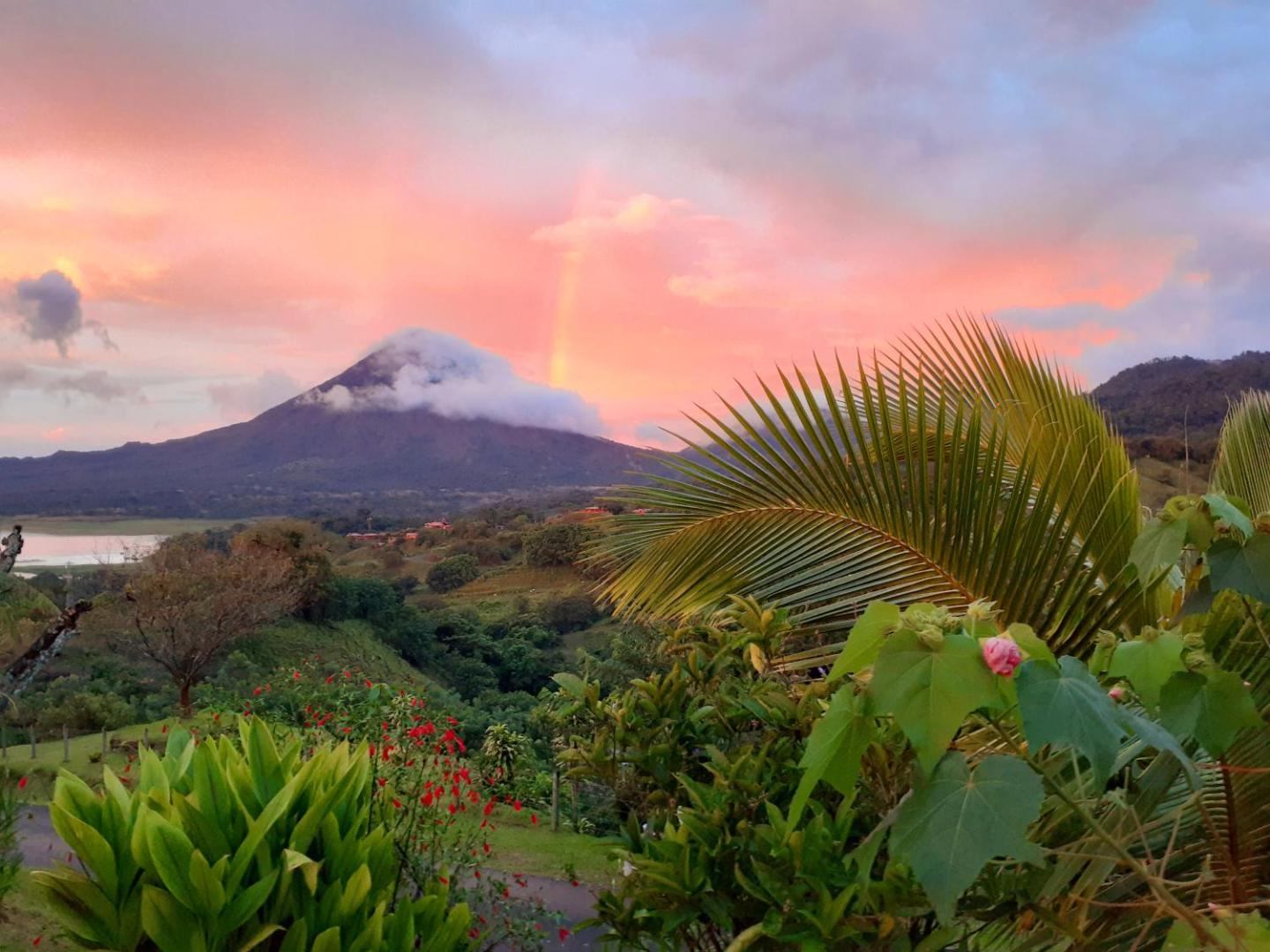 Essence Arenal Hostel