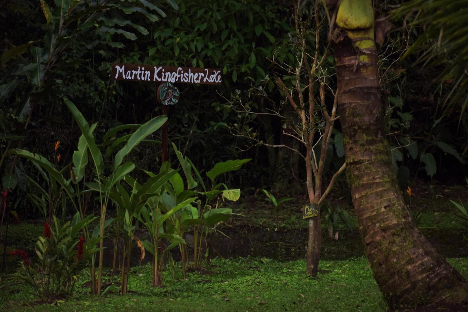 Essence Arenal Hostel