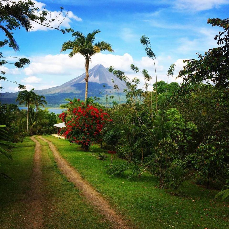 Essence Arenal Hostel