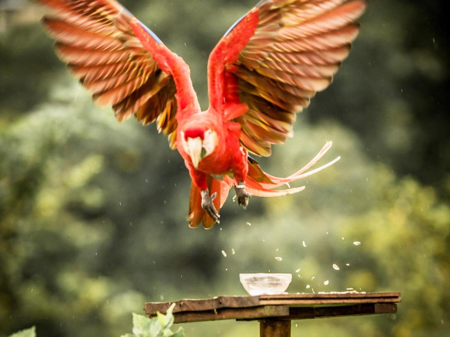 Essence Arenal Hostel