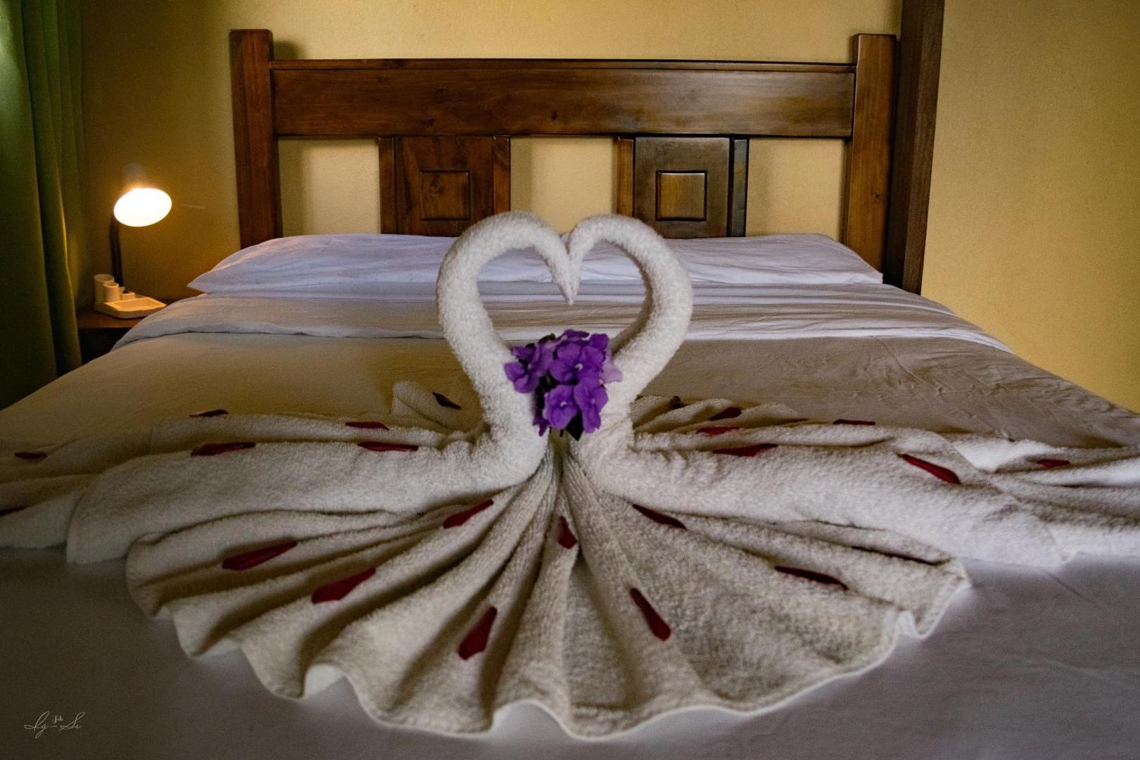 Essence Arenal Hostel