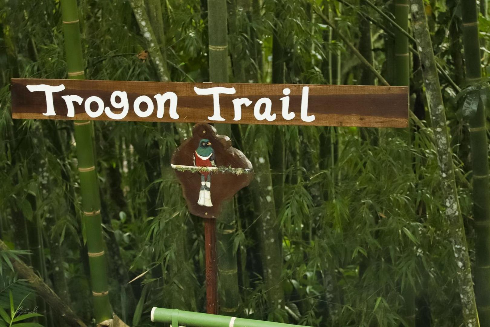 Essence Arenal Hostel