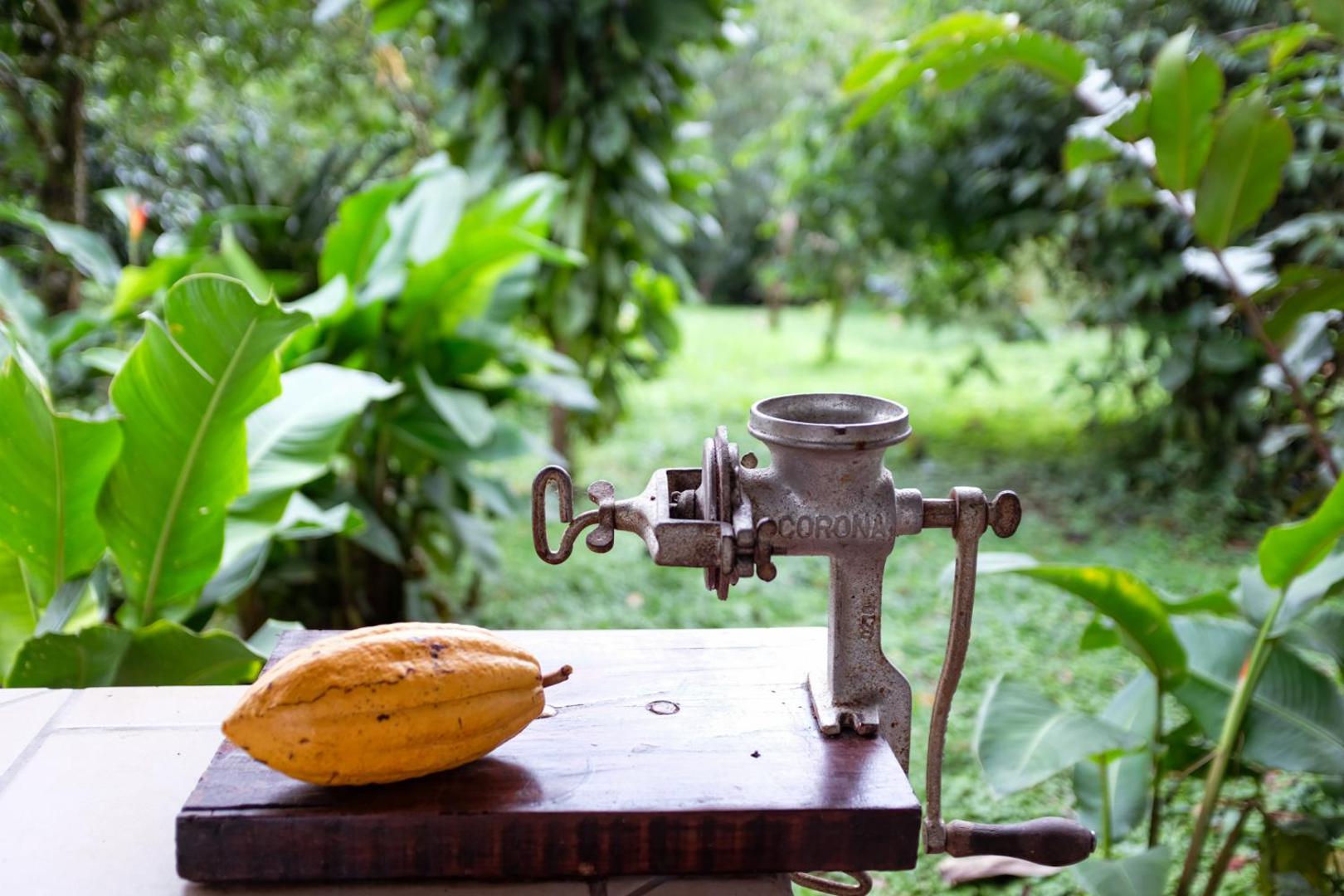 Essence Arenal Hostel