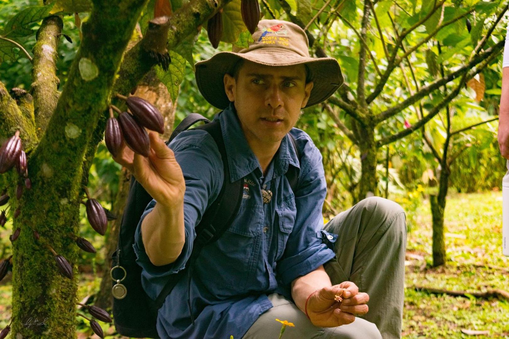 Essence Arenal Hostel