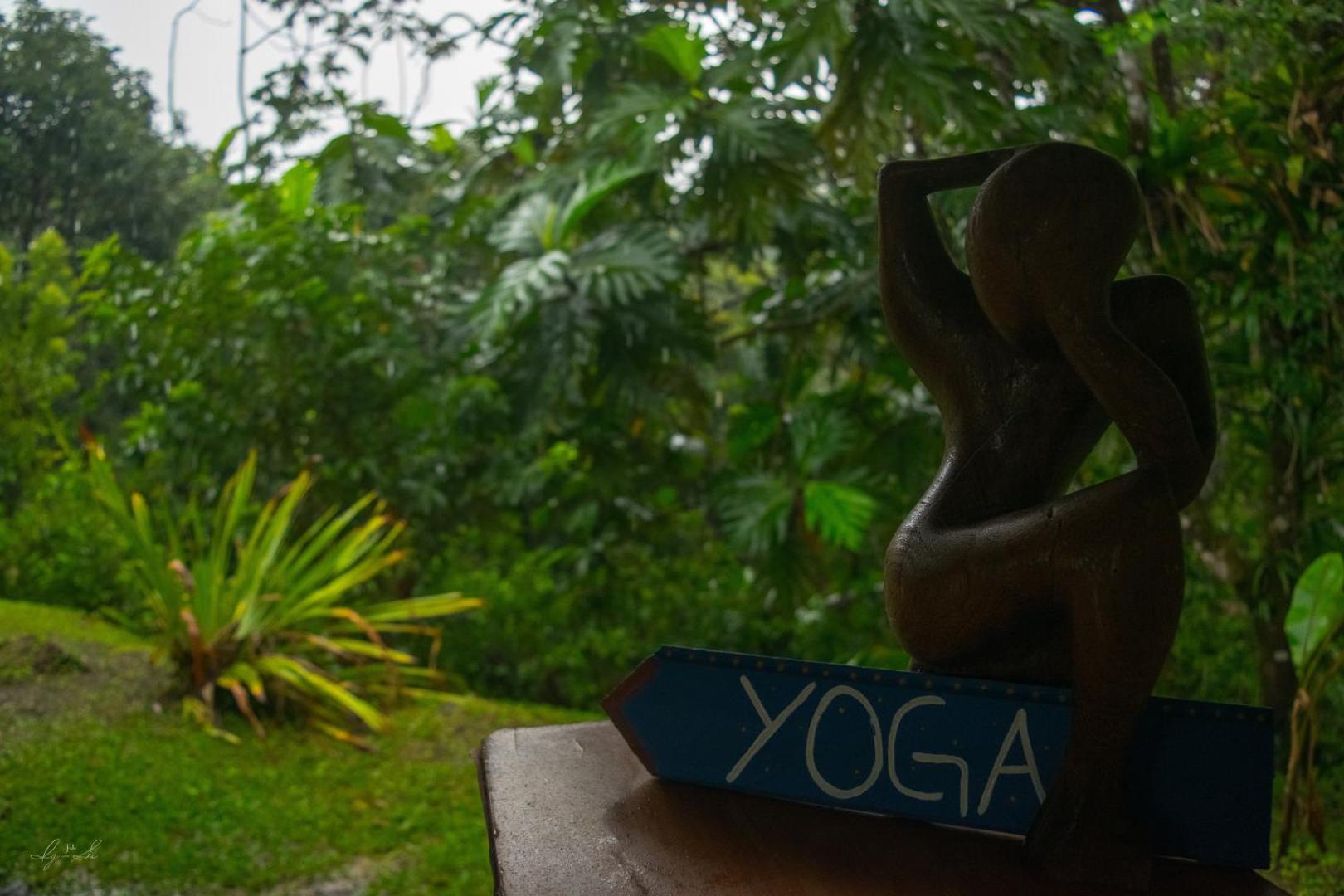 Essence Arenal Hostel