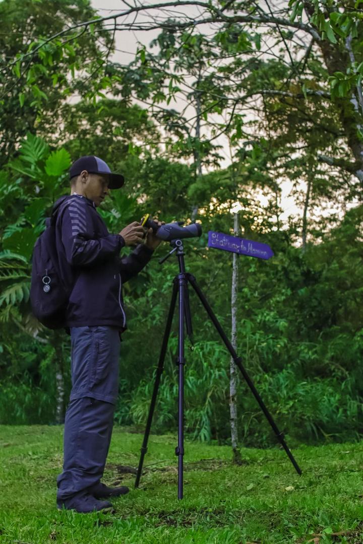 Essence Arenal Hostel