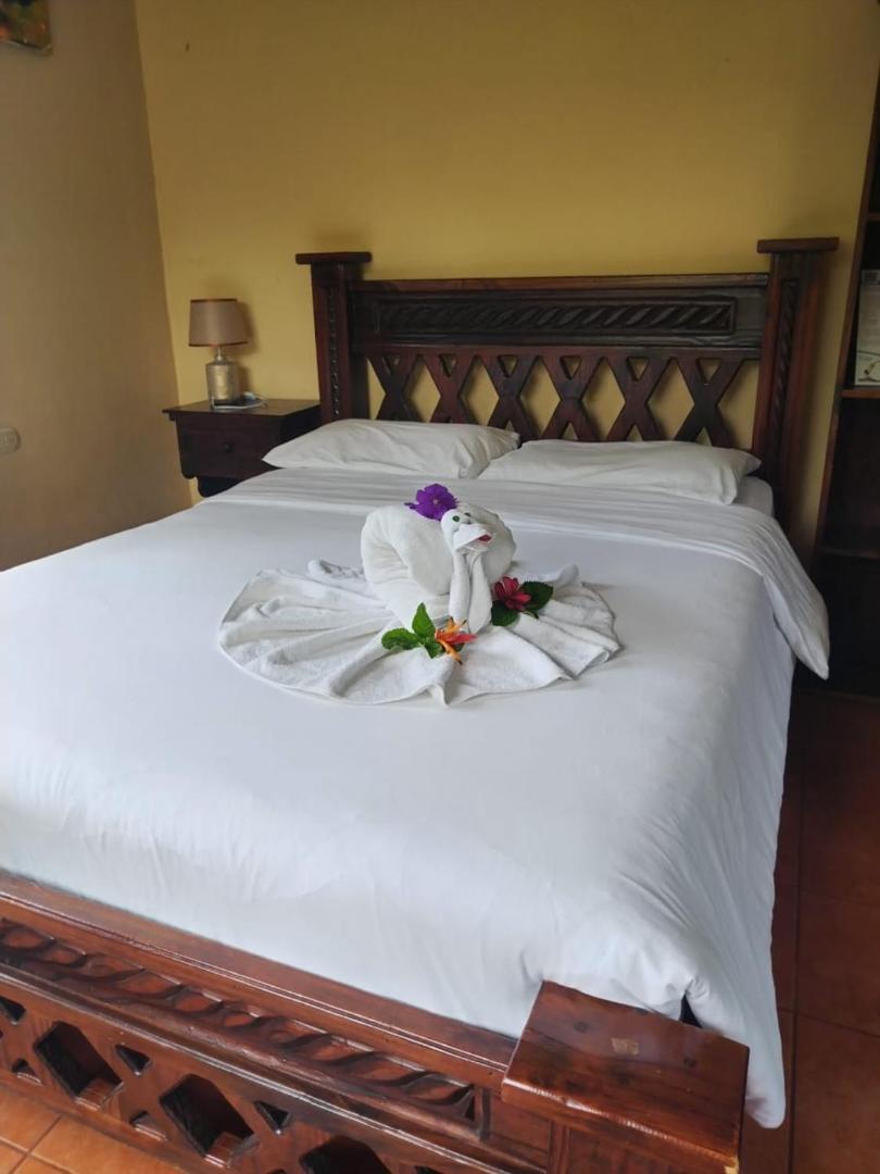 Essence Arenal Hostel