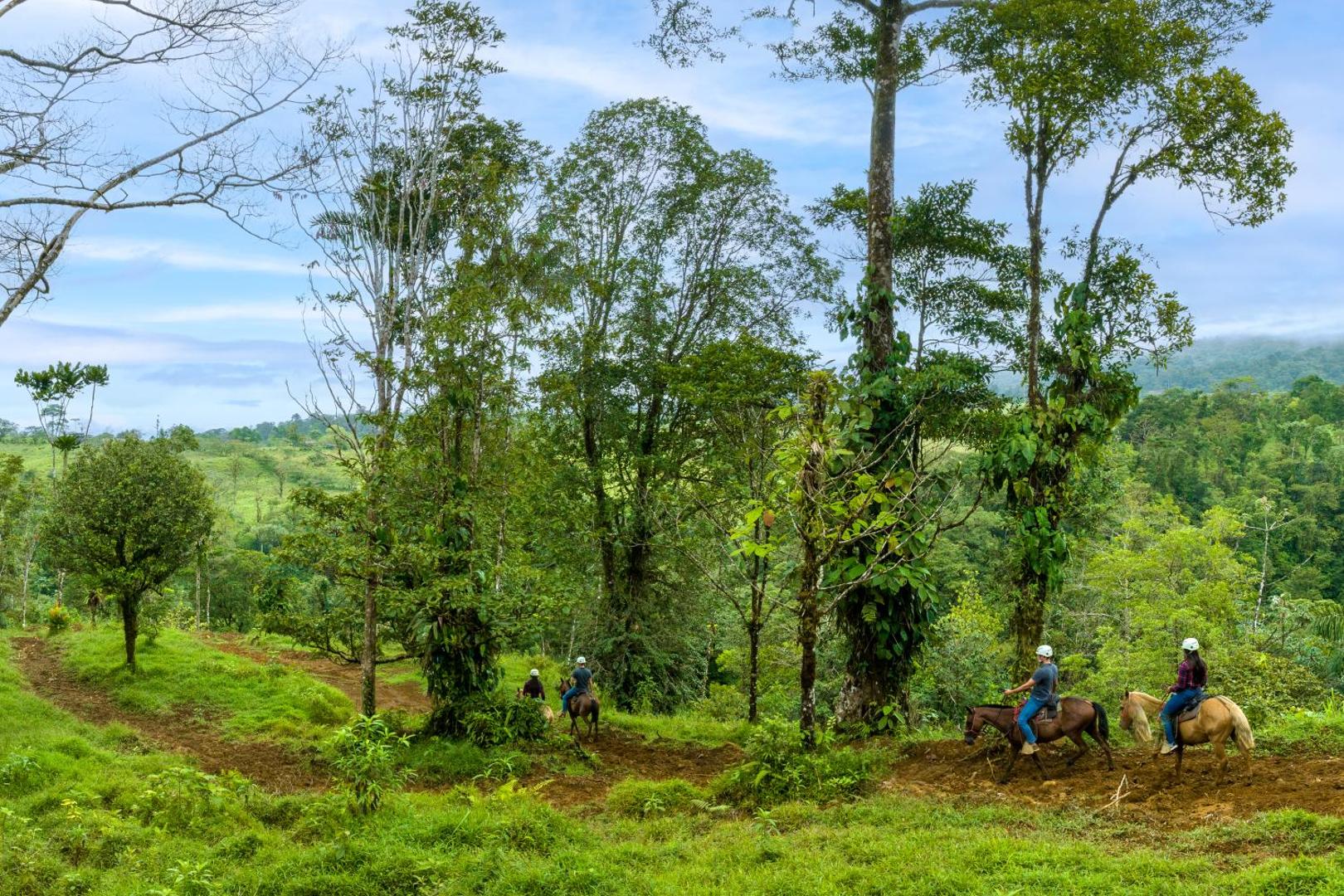Rio Celeste Hideaway Hotel