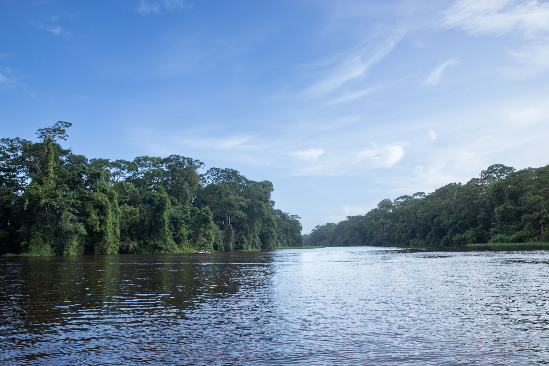 Pachira Lodge